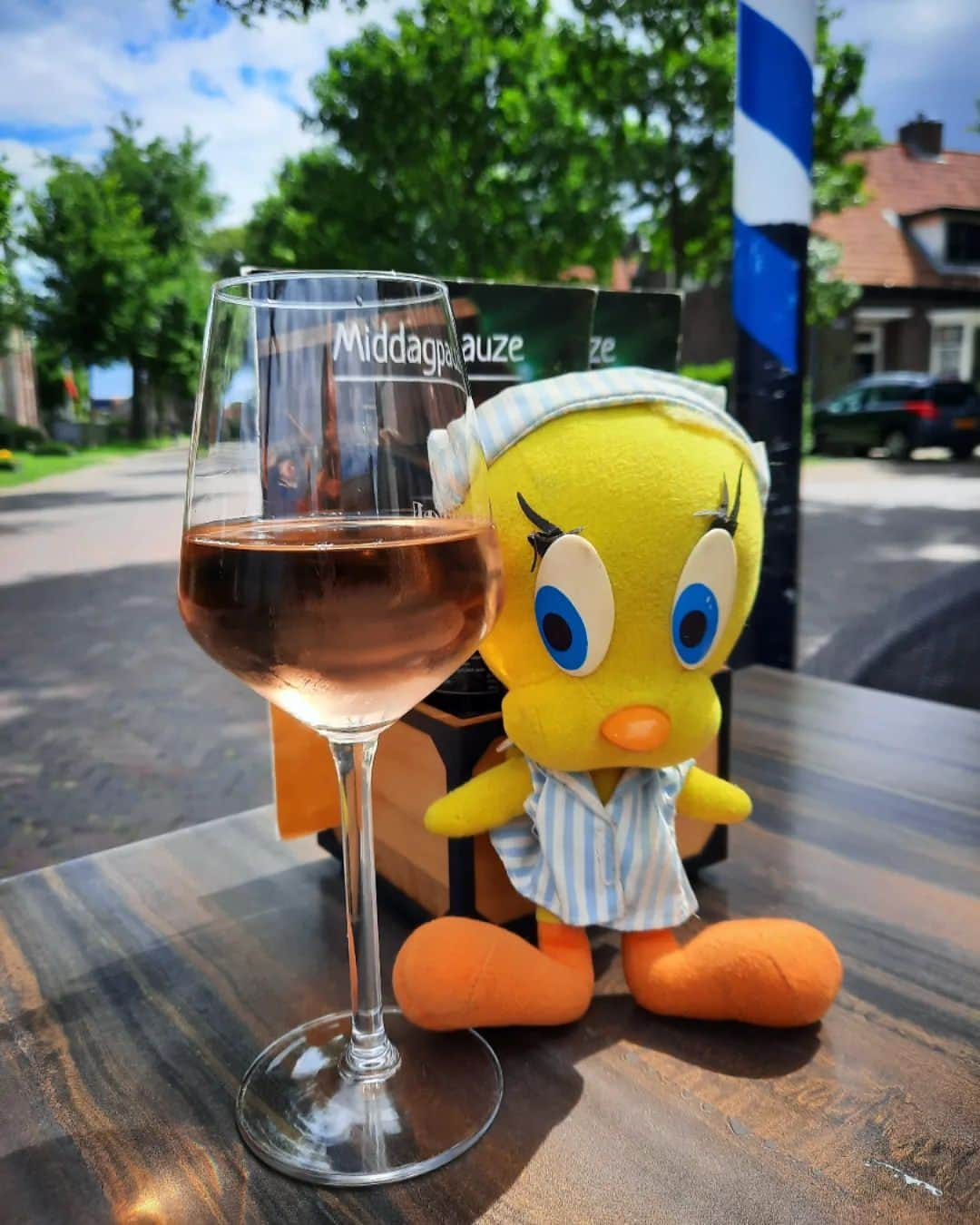 Little Yellow Birdさんのインスタグラム写真 - (Little Yellow BirdInstagram)「Finally, some true spring weather! Rosé weather, as I like to call it! Cheers to the weekend, my friends! #littleyellowbird #tweety #tweetykweelapis #adventures #yellow #bird #friday #vrijdag #weekend #spring #lente #zonnetje #sunnyday #sunny #wine #rose #cheers #proost #stuffedanimalsofinstagram #plushiesofinstagram」4月14日 22時20分 - tweetykweelapis