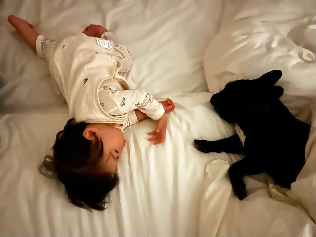 村西利恵のインスタグラム：「✔︎ 娘は早ければ19時台、遅くても20時台に寝るのですが  最近、寝かしつけのために寝室に行くと  なぜか🐕‍🦺もついてきて  一緒に寝ます🕗  2人とも寝たあと暗闇で写真を撮ったら  「空中ブランコであと一息で🫱届きそうな2人」  みたいでした。  いい夢見てね。  #おやすみ #フレンチブルドッグのいる生活 #姉妹」