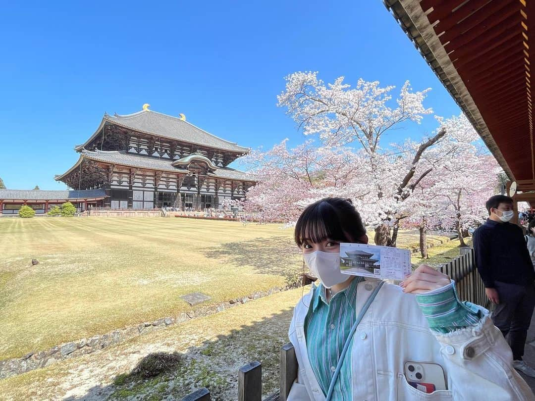 池未来実さんのインスタグラム写真 - (池未来実Instagram)「桜が満開に咲いてるのを今年も見れました、🌸  #05 #ootd #桜 #ヘアアレンジ #ljk #シャツコーデ」4月14日 22時27分 - iam_kurumi714