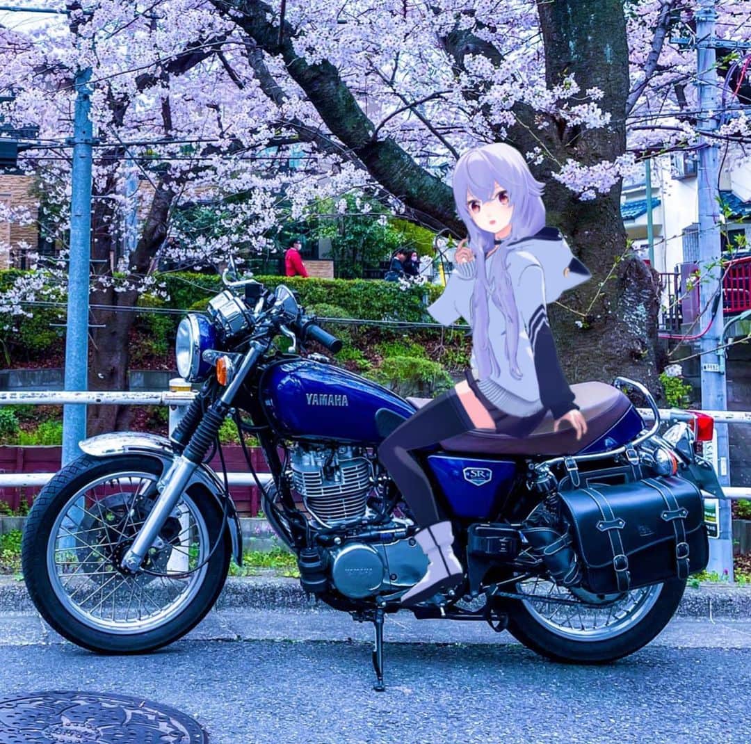 アズマリムのインスタグラム