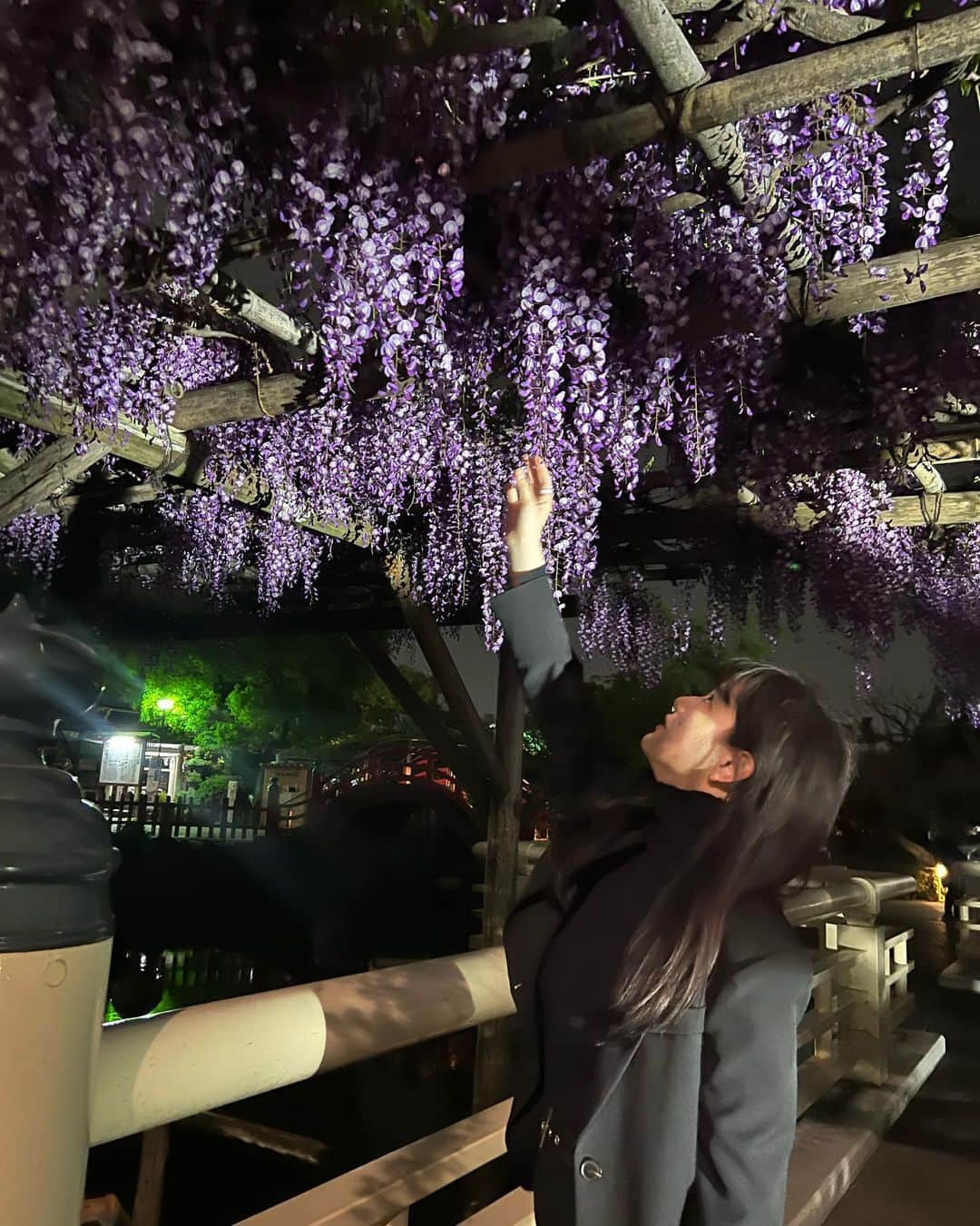 園田あいかさんのインスタグラム写真 - (園田あいかInstagram)「藤の花💜×東京スカイツリー  亀戸天神社  神秘的な場所だった」4月14日 22時50分 - for__offwhitey_9