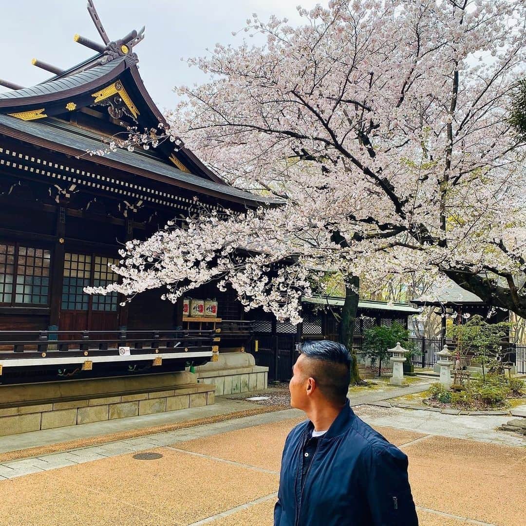 デルタ航空のインスタグラム：「When spring is in the air >>>  Can you guess where these blossoms are blooming?  Photos: @travelingpolrit, @annawhithamco, @katrina_blossoms, @goanniewhere」