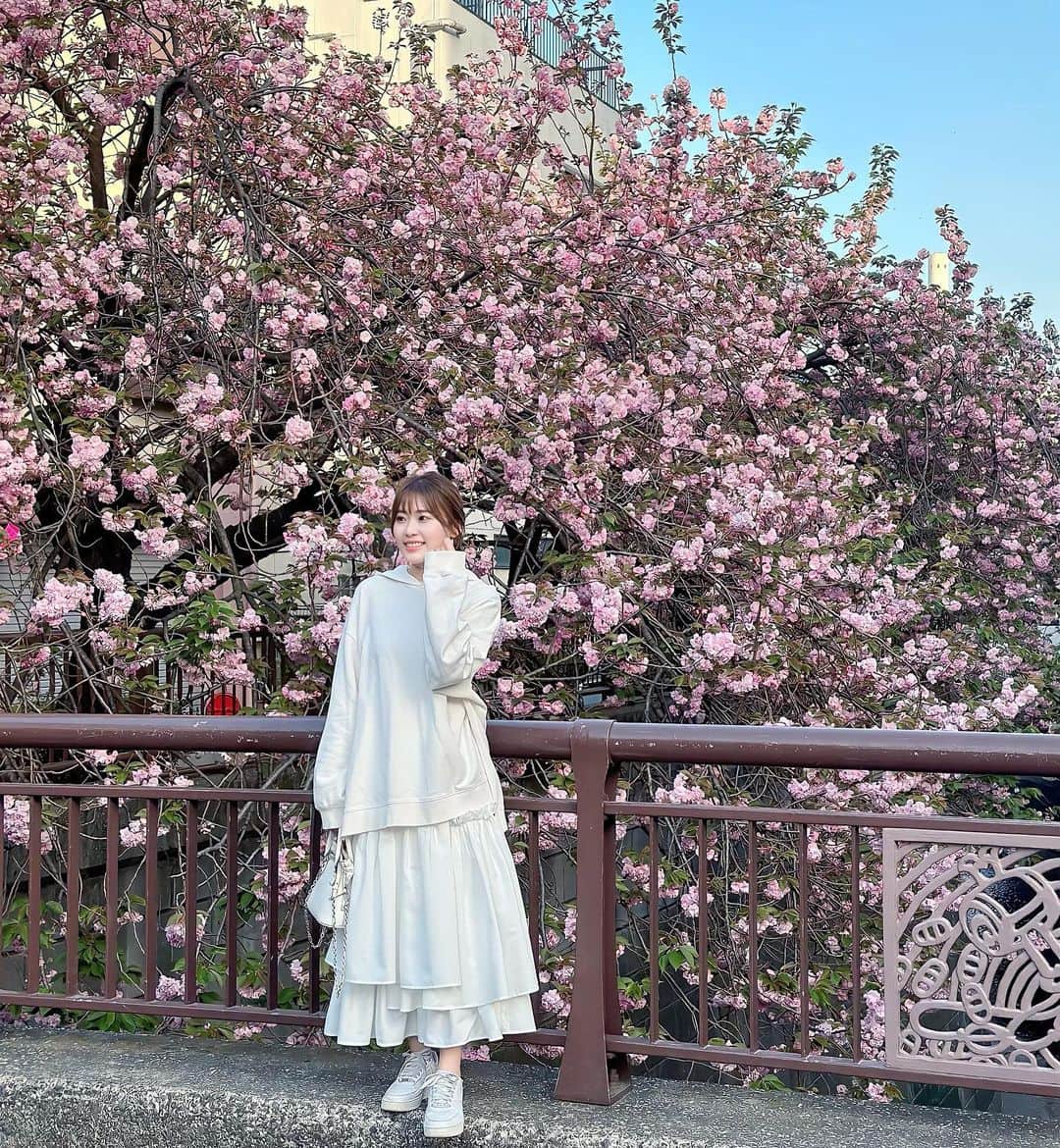 藤川沙弥のインスタグラム：「少し後に咲くボタン桜🌸可愛い~🩷 お気に入りのふりふりスカートは @lagemme_ のpopupでgetしました♥︎ ハイウェストだしゴムだし優秀😙✌🏻」