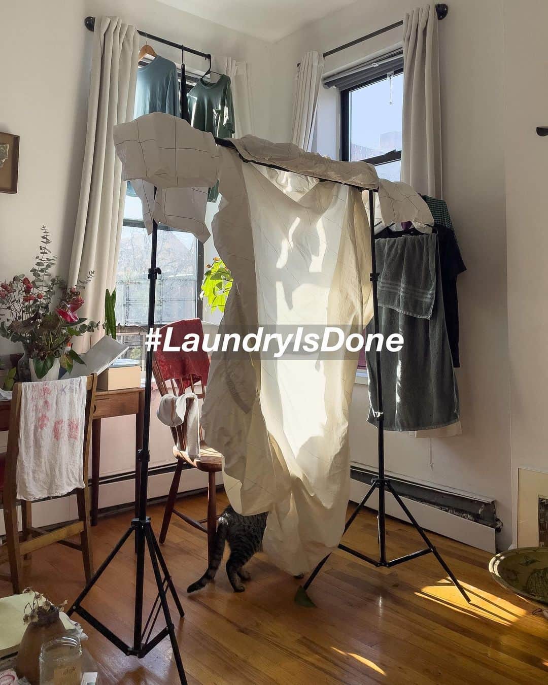 shinichitsutsuiのインスタグラム：「@laundryisdone: Happy NYC laundry life」