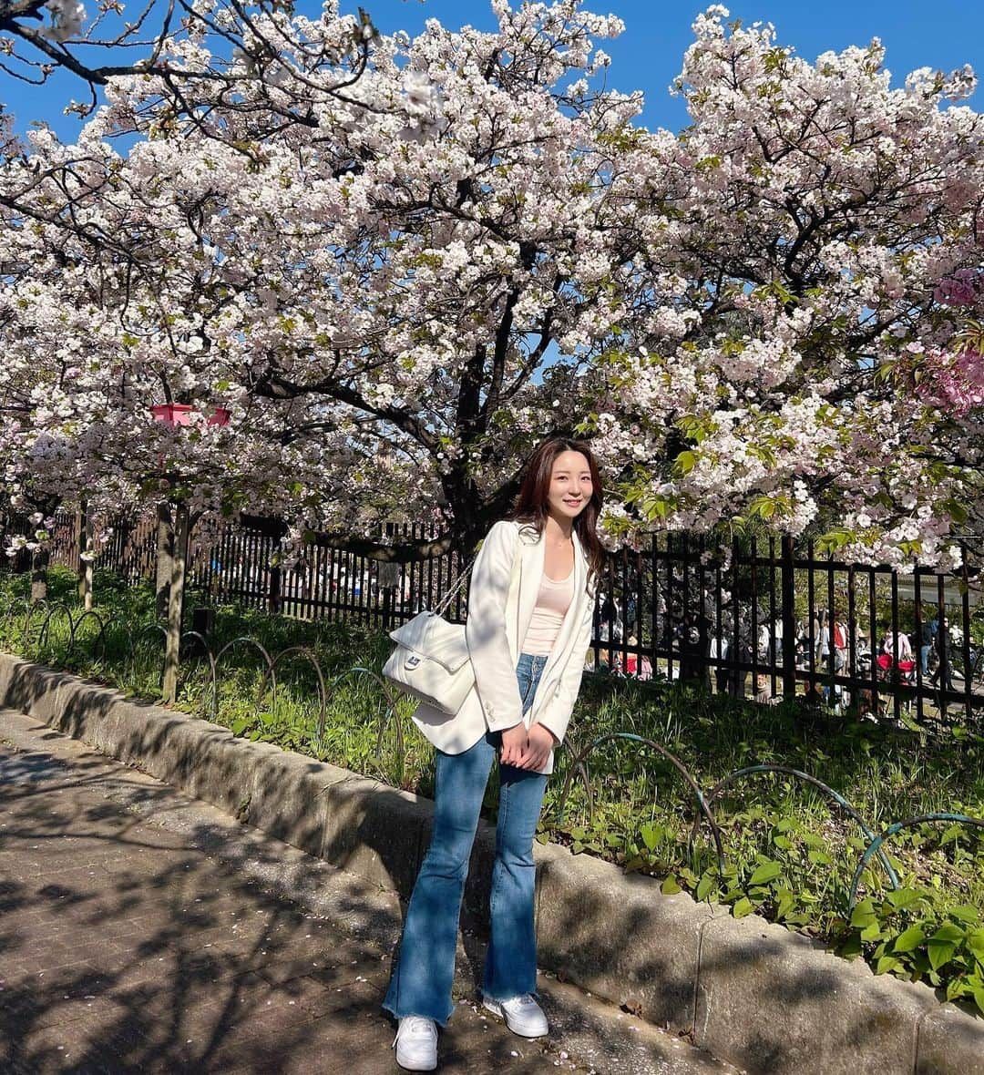 音無のぞみのインスタグラム：「今年も桜の通り抜けいってきた🌸  屋台でたくさん食べて幸せでした🫶 でも東京コロッケがなかった、、  　 　 　 　 　 　 　 　 　 　 #桜の通り抜け #造幣局桜の通り抜け #桜 #大阪桜スポット #きれいめコーデ #きれいめファッション #ブルベ夏 #骨格ナチュラル #骨格ナチュラルコーデ #コーデ #コーデ記録 #ootd #code #fashion #osaka #오사카 #벚꽃 #벚꽃스타그램 #오사카벚꽃 #오오티디 #코디 #일상」