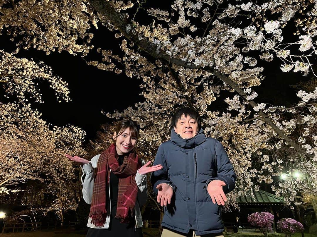澤田愛美さんのインスタグラム写真 - (澤田愛美Instagram)「.  きょうのハレのちあしたは きのう園内のソメイヨシノが満開となった 弘前公園から生中継🌸  きょうから弘前公園の 桜のライトアップがスタートしました✨ 夜空に浮かぶ桜が美しかったですね☺️  4時台のハレのちあしたで中継を担当した あどばるーん小野さんが 6時台のニュースにも登場！ 楽しくて沢山笑いました😂✨  きょうもご覧頂いた皆さま、ありがとうございました！  .   #弘前公園 #桜 #青森 #青森朝日放送 #ハレのちあした #ニュース #中継 #アナウンサー」4月14日 23時35分 - amy____oxox