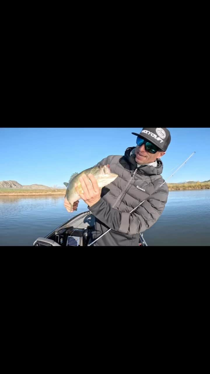 Brent Ehrlerのインスタグラム：「Sometimes you have to talk to them…I can’t remember what he was saying, I wasn’t really paying attention 🎣🦈 #gopro #fishitwell @luckycraftusa @costabassfishing」