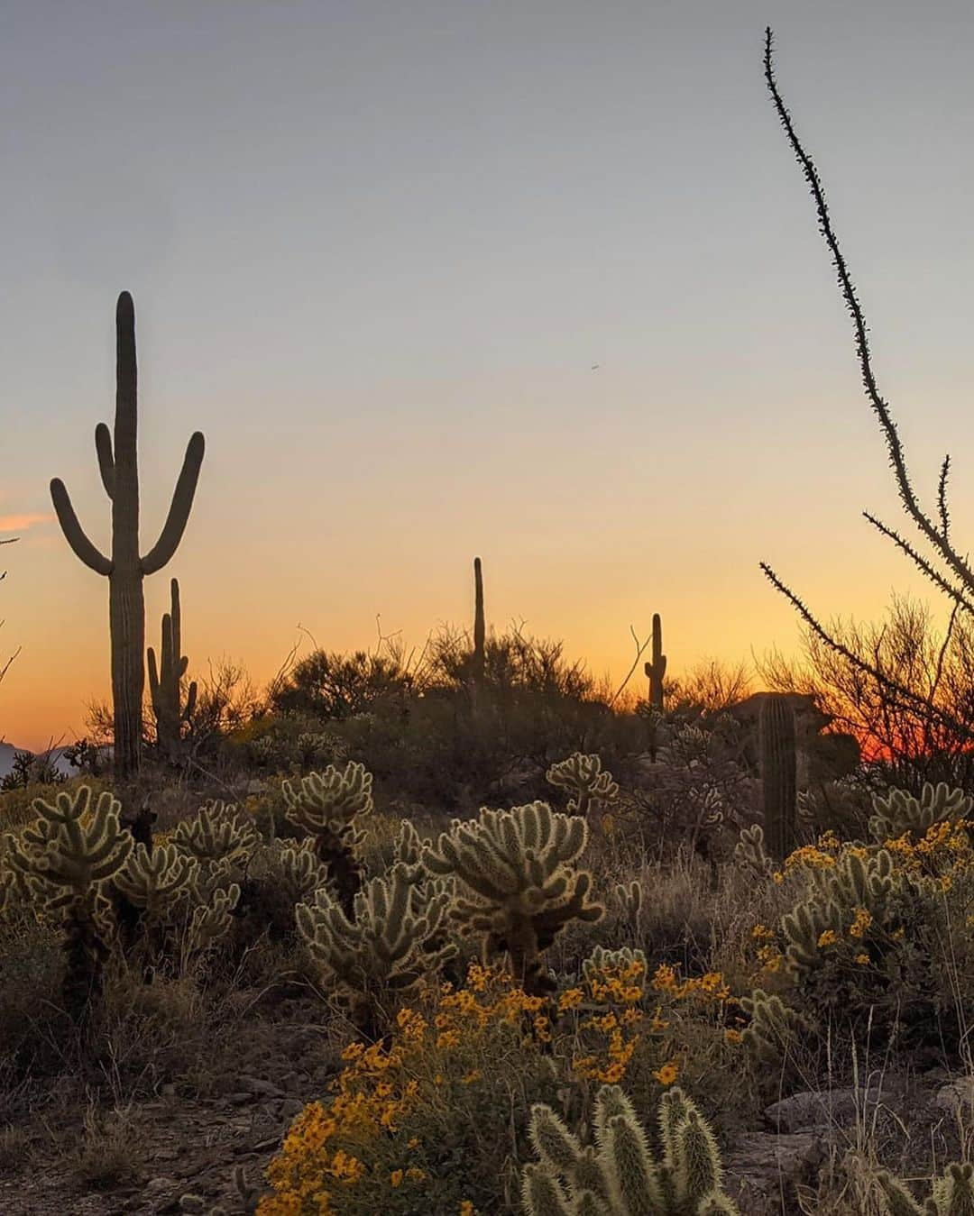 オボズのインスタグラム：「Scenes from the Oboz Trail Experience: Tucson.   The Experience is underway and those Southwest views are blowing us away 😍   Join us for the upcoming hike-anywhere Fast Trail Challenge, May 1-10. Registration is open and free - link in our bio.   📸 Adam Schmidt @summithuttucson @aztassociation   #obozfootwear #truetothetrail #oboztrailx #obozfasttrail #oboztrailblazer #hikingtrails #tusconhiking #tuscon #arizona #hikingchallenge」