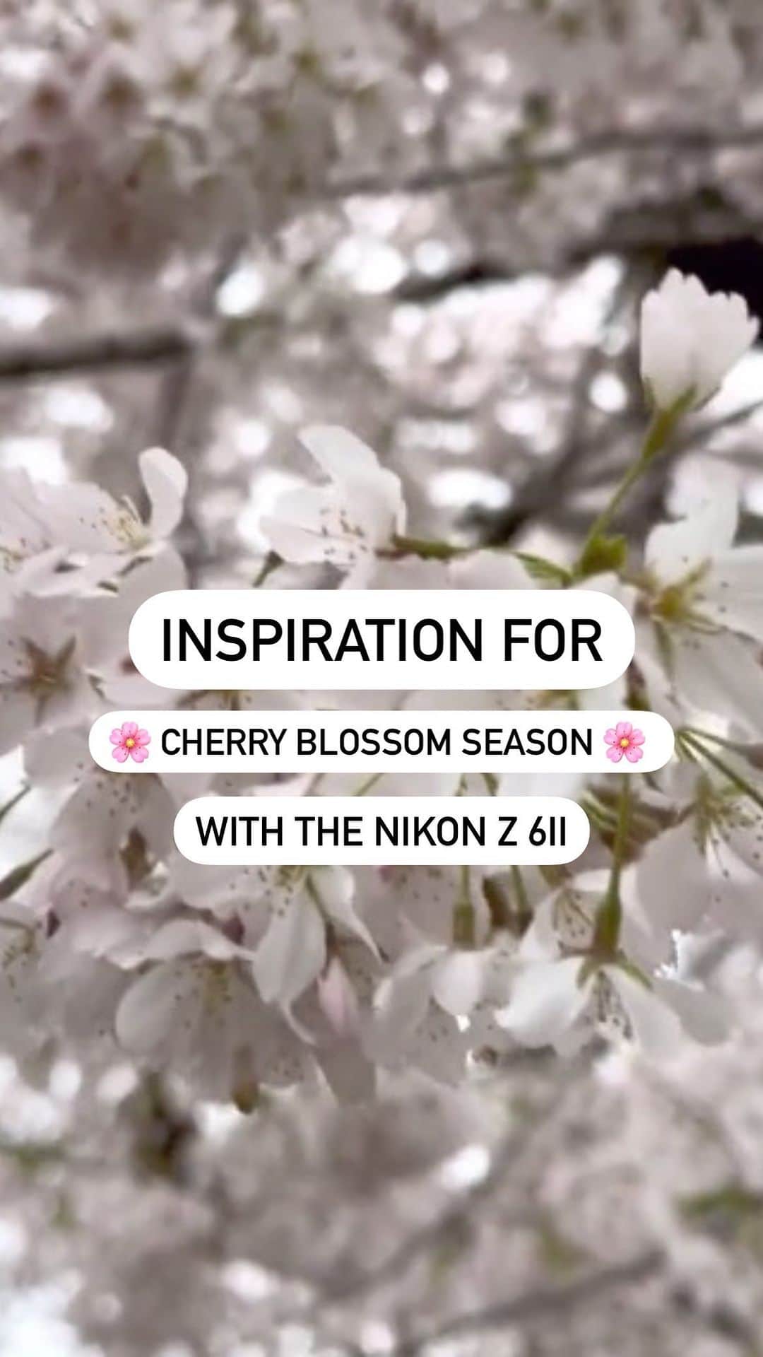 NikonUSAのインスタグラム