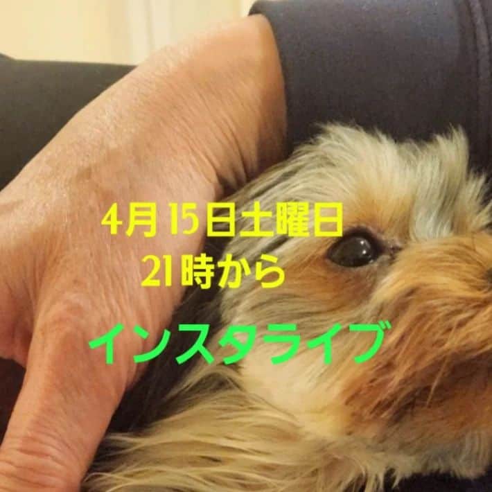 モト冬樹のインスタグラム：「4月15日土曜日21時から インスタライブやりまーす」