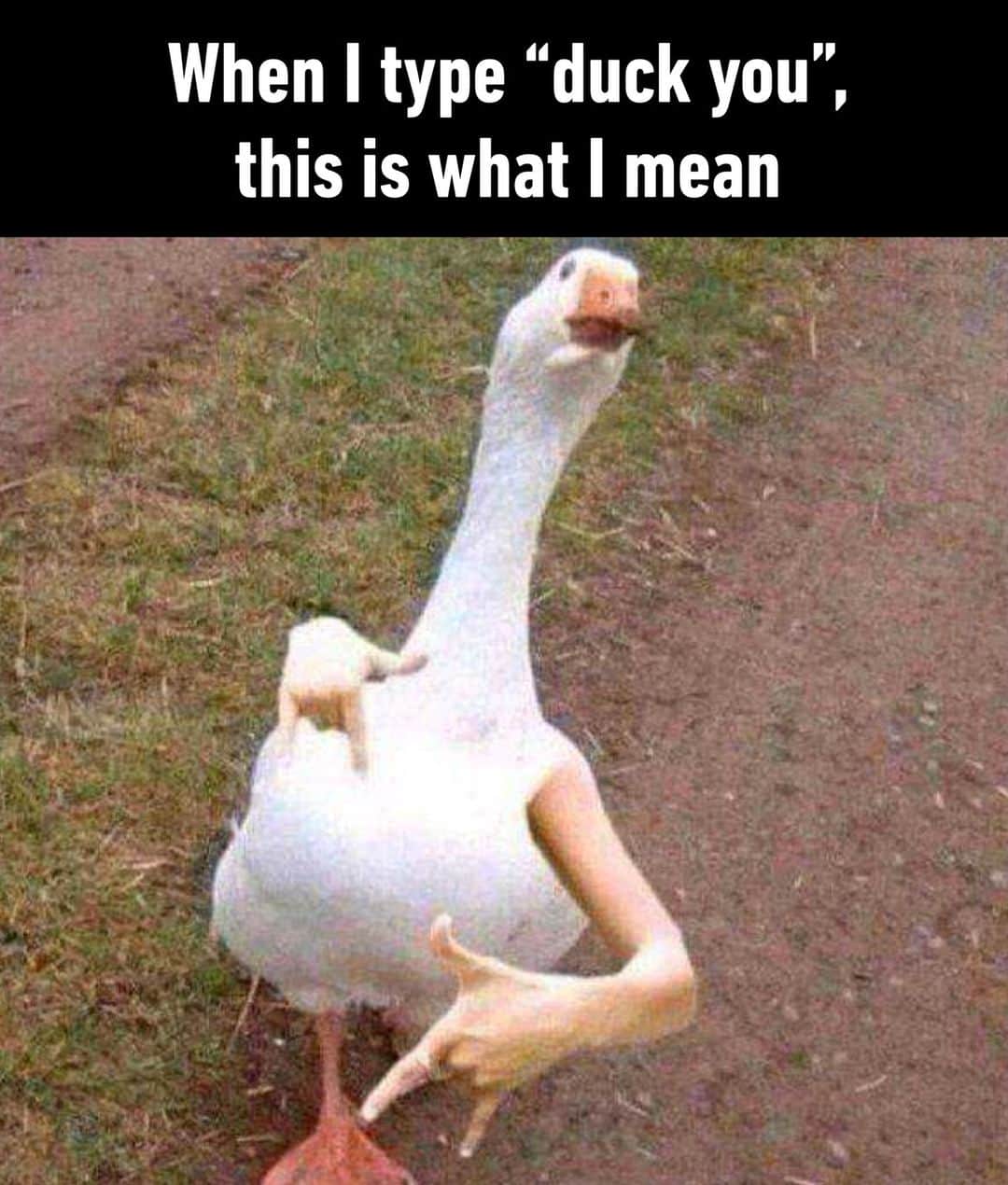 9GAGのインスタグラム