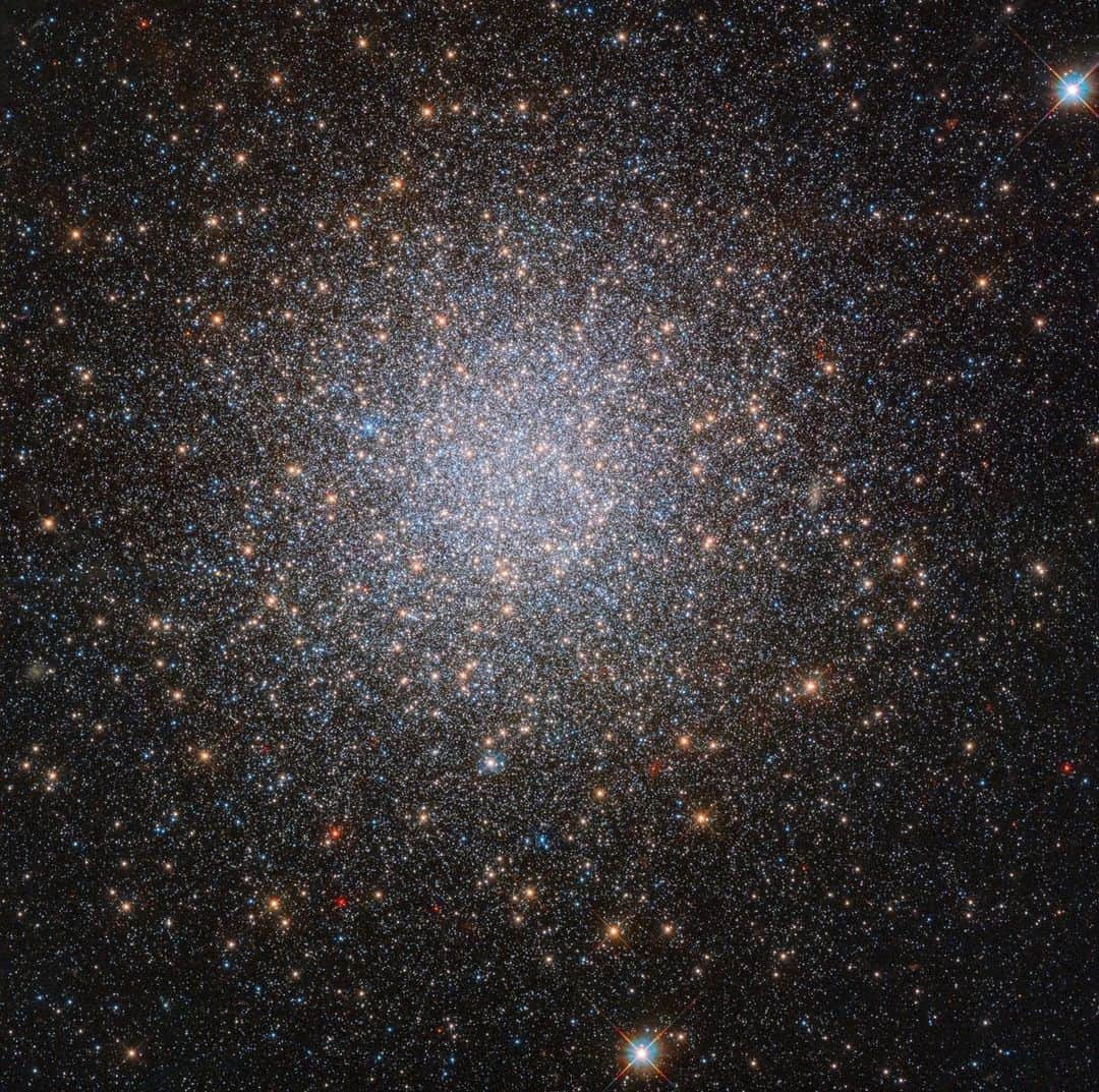 NASAさんのインスタグラム写真 - (NASAInstagram)「This cluster makes the whole place shimmer. ✨  Located 300,000 light years away, NGC 2419 is known as a globular cluster, which is a spherical group of stars that orbit the center of a galaxy. These stars all formed at around the same time meaning they share similar properties.  Because of this, it was believed that these stars would also contain similar amounts of helium, however, this observation from @NASAHubble proves that’s not always the case. This cluster has two groups of stars, some that are incredible helium rich, and others that are not.   Image Description:  On a black backdrop, a large cluster of stars that look like glitter form together in a spherical shape at the center of the image. Some of the stars scatter outside the shape as well, they’re just much fainter than the stars that have clumped together in the middle. Two bright stars shine on the outside of the circle, one at the top right and the other at bottom center.  #Space #NASA #Hubble #Galaxy #Stars」4月15日 3時10分 - nasagoddard