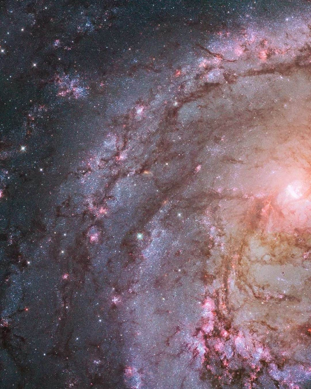 NASAさんのインスタグラム写真 - (NASAInstagram)「Hurry up, we're dreaming 🌌⁣  The spiral galaxy M83 – known as the Southern Pinwheel – lies 15 million light-years away in the constellation Hydra and was first discovered by French astronomer Nicolas Louis de Lacaille in 1752. M83 is one of the brightest galaxies in the sky and can be seen with binoculars, most easily in May.⁣ ⁣ @NASAHubble captured this image of M83 with its hundreds of thousands of stars and thousands of star clusters, showing off the galaxy's spiral structure and revealing interstellar "bubbles" produced by supernova remnants. By studying the remains of these massive star explosions, scientists can better understand the stellar circle of life.⁣ ⁣ Image descriptions: Arms of a spiral galaxy sparkle in specks of blue and pink, curving around a bright pink-white mass in the center-right portion of the photo. The next slide is a continuation of the galaxy, with a bright pink-yellow spot in the left part of the slide with curving concentric spirals in purple in the left and center of the photo. Pink, blue, and white surround the galaxy.⁣ ⁣ Credit: NASA, @EuropeanSpaceAgency and the Hubble Heritage Team (STScI/AURA); Acknowledgment: W. Blair (STScI/Johns Hopkins University) and R. O’Connell (University of Virginia)⁣ ⁣ #Space #NASA #Hubble #Astrophotography #Galaxy #Stars #M83」4月15日 3時35分 - nasa