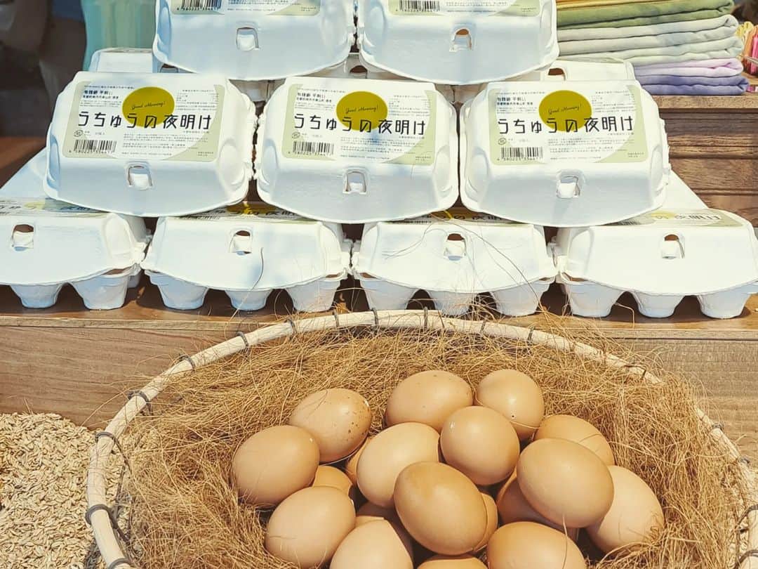 谷口キヨコさんのインスタグラム写真 - (谷口キヨコInstagram)「京都にある養鶏場が経営してるだけあって、絶品の卵を使った料理の数々。いいもの使うといいものできるのだ😆わたしはナポリタンのオムレツがけとプリンをいただきました‼️美味しいとヘルシーを実現した味～👍️ センスのよい雑貨やKEITA MARUYAMAのものも🎵ぜひ行ってみてね🎵」4月15日 15時16分 - kiyokotaniguchi