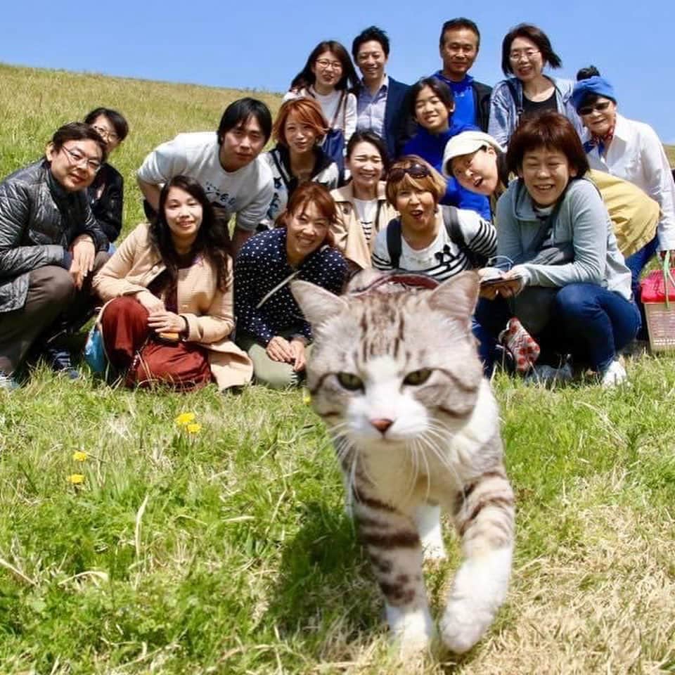 Nyankichi Noranekoさんのインスタグラム写真 - (Nyankichi NoranekoInstagram)「【ニャン吉と一緒にパトロールin東京】  ド根性で47都道府県のパトロールを達成したニャン吉。 あっという間に歳を重ね14歳の老猫になりました😸  これからは、静かに余生を楽しんでもらうつもりでいたのですが・・・ 彼の野良魂は、まだ衰えていないようで、、、まだまだ外に行きたがります😸💦  そこで。。これからは、のんびりゆっくり楽しみながら旅をして、各地のディープな魅力を世界に発信することにいたしました！  まずは。。ニッポンの首都 東京！ 4月30日に開催される『猫の音楽会✖️旅猫ニャン吉 Vol.4』に専属カメラマンとともにおじゃまします。  そして・・・ 東京都葛飾区の水元公園でニャン吉と一緒にパトロールをしませんか。  ●開催日時 ◎4月29日(土) 14時から1時間程度  ◎ 4月30日(日) 10時から1時間程度  ◎ 5月1日(月) 9時から1時間程度  【定員】  各15名程度  【参加費】  2,500円（ニャン吉と専属カメラマンの旅費・活動費を含みます）  【パトロール時間】 1時間程度を予定しています。 ※ニャン吉先生の気分次第です。了承ください。  ご賛同いただける方、ニャン吉に会ってみたい方、足腰に自信のある方、ぜひご参加ください！ 参加を希望される方は、こちらまでご連絡くださいますようお願いいたします  ●E-mail：tabinekonyankichi@gmail.com 必ずお名前、参加人数、性別、連絡先（携帯）をお知らせください。  ※人数が定員に達し次第、締め切ります。ご了承願います。  詳細につきましては、参加者様に直接ご連絡いたします。  ★ 男 ニャン吉 小雨ぐらいなら決行します！ ★男 ニャン吉は、小走りでパトロールします！（みなさんは、早歩きもしくは駆け足でついていく場面に直面します 😸） 履きなれた靴（ヒールなし、スニーカーがおすすめです）と、動きやすい服装でご参加くださいますようお願いいたします。  皆さまのお越しを心よりお待ちしております。にゃり！  #猫 #cat #고양이 #แมว #貓 #кошка #qata #chat #ニャンスタグラム #gato #catsofinstagram #ねこ部 #旅猫 #cats #ニャン吉 #猫写真 #ねこ #seekor #ネコ #kitty #catlover #kucing #kucinglucu #猫好き #猫好きな人と繋がりたい #パトロール #水元公園 #散歩」4月15日 15時21分 - noraneko_nyankichi