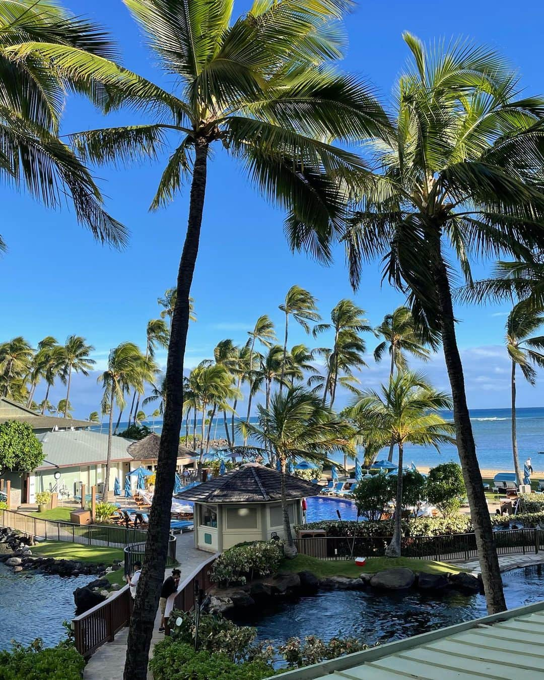 吉羽真紀さんのインスタグラム写真 - (吉羽真紀Instagram)「🌺🌺  #時差投稿  #hawaii」4月15日 14時24分 - makiyoshiba_0911