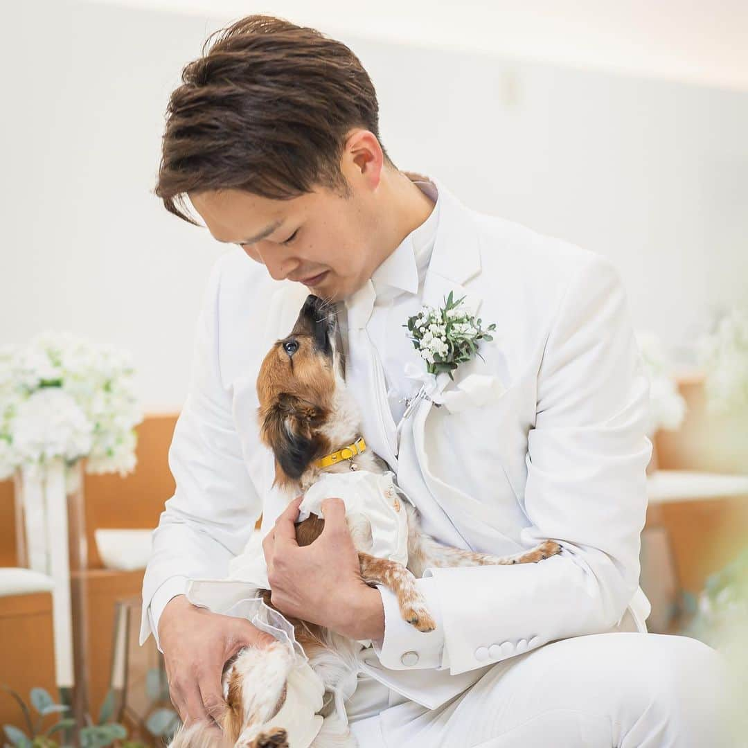 結婚式場ブランレヴュー宇都宮アクアテラスさんのインスタグラム写真 - (結婚式場ブランレヴュー宇都宮アクアテラスInstagram)「・ \大切な家族と過ごすウエディング/ ブランレヴューでは おふたりの大切なペットと ご結婚式をお過ごしただけます  挙式のスペシャルゲストとして登場してもらったり おふたりと晴れ姿でお写真をお撮りしたりと ゲストの方々のアイドルとなり 大活躍間違いなし✨  大切な家族と過ごしたい新郎新婦様に ピッタリです♡  . . 𖥧 𖥧 𖧧 ˒˒. . 𖡼.𖤣𖥧 ⠜ . . 𖥧 𖥧 𖧧 ˒˒. . 𖡼.𖤣𖥧 ⠜ ⁡ 公式HPでは、 スタッフブログやウェディングレポートなど 様々な情報を記載中*♪。 ⁡ @blancrevue_wedding  プロフィールリンクよりとべます♪ ⁡ 要チェックです✎ᐝ ⁡ #ブランレヴュー宇都宮アクアテラス#ブランレヴュー #栃木結婚式場#栃木花嫁#宇都宮結婚式場#宇都宮花嫁#dearswedding#dears花嫁 #プレ花嫁#全国のプレ花嫁さんと繋がりたい #日本中のプレ花嫁さんと繋がりたい #卒花嫁レポ #卒花レポ  #ウエディングドレス#ウエディングケーキ #ウエディングブーケ  #リングドッグ  #チャペル #チャペル挙式  #リングピロー  #ペット可 #犬好きな人と繋がりたい」4月15日 14時40分 - blancrevue_wedding