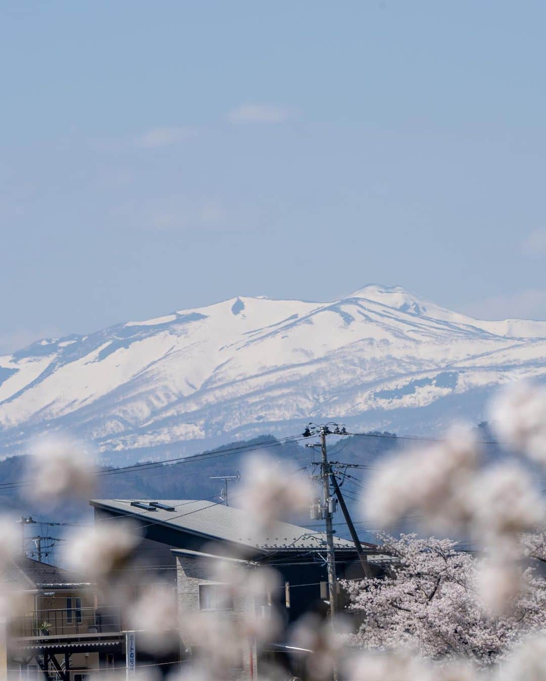 山人のインスタグラム