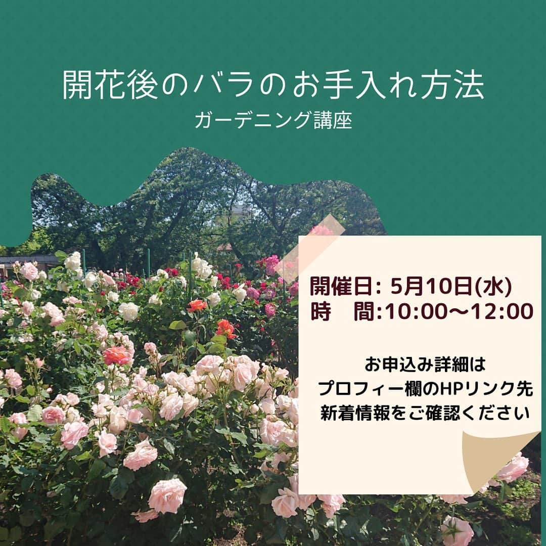 道の駅やちよのグルメインスタ