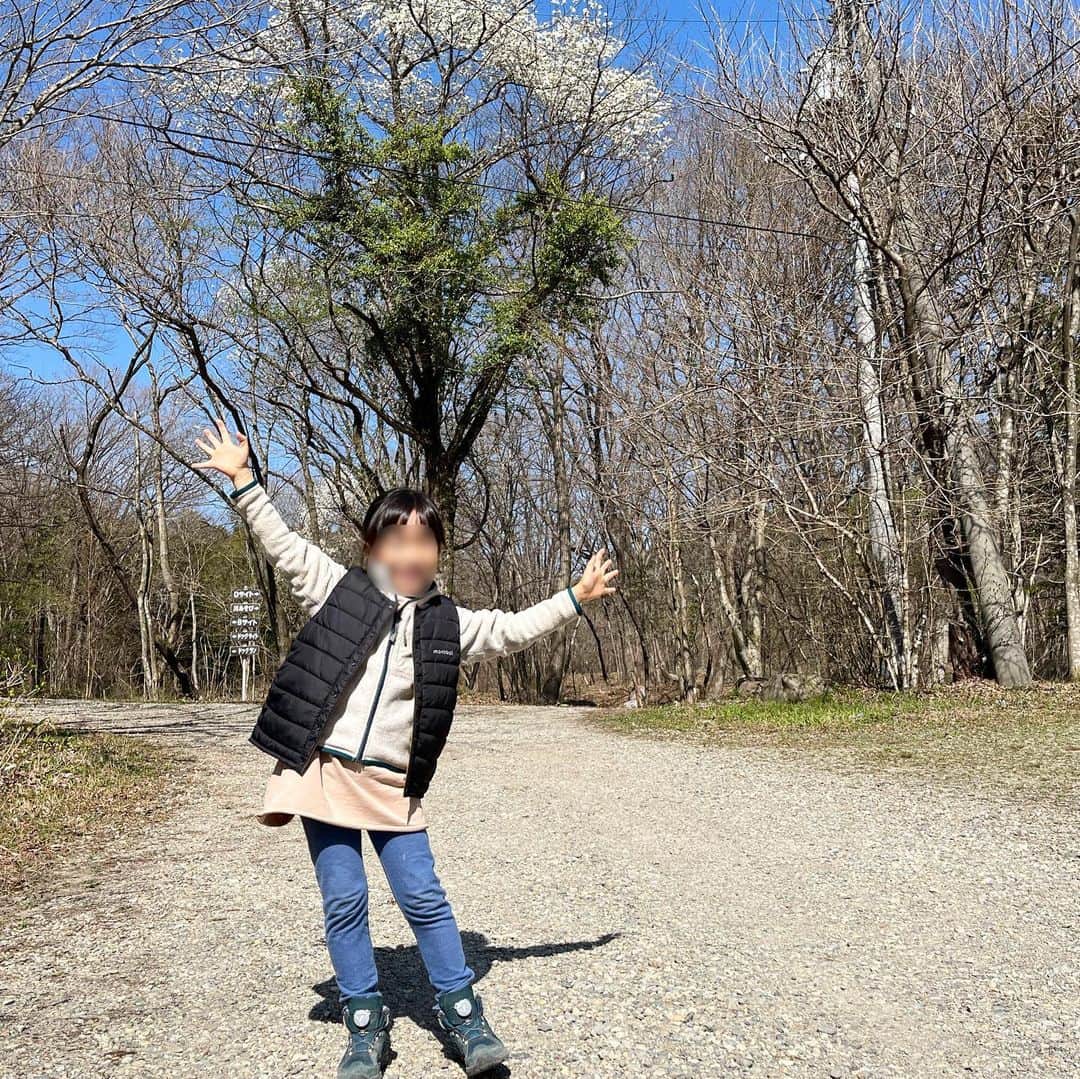 せんべえさんのインスタグラム写真 - (せんべえInstagram)「＊ 竹サイトで寛ぐひと。 寝起きで寒いわらべ。 ハイテンションわらべ。 撤収時に那須の空気を誰よりも満喫するひと。 ＊ #せんべえ #柴犬 #shibainu  #キャンプ #camping  #だんだん肉 #お耳ぴくぴく #映え写真の少なさ」4月15日 14時51分 - akiresh