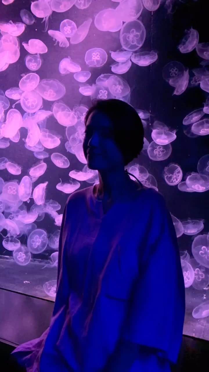 小川夏果のインスタグラム：「#aquarium #singapore 🐠✨💖 We can see beautiful #jellyfish #awesome #amazing  シンガポールの水族館。 #くらげ #クラゲ #かわいい #水族館  #naturelover #animals #fishtank #seacreatures #specialized #happyday  #familytime #coupletravel #with #together  #pink」