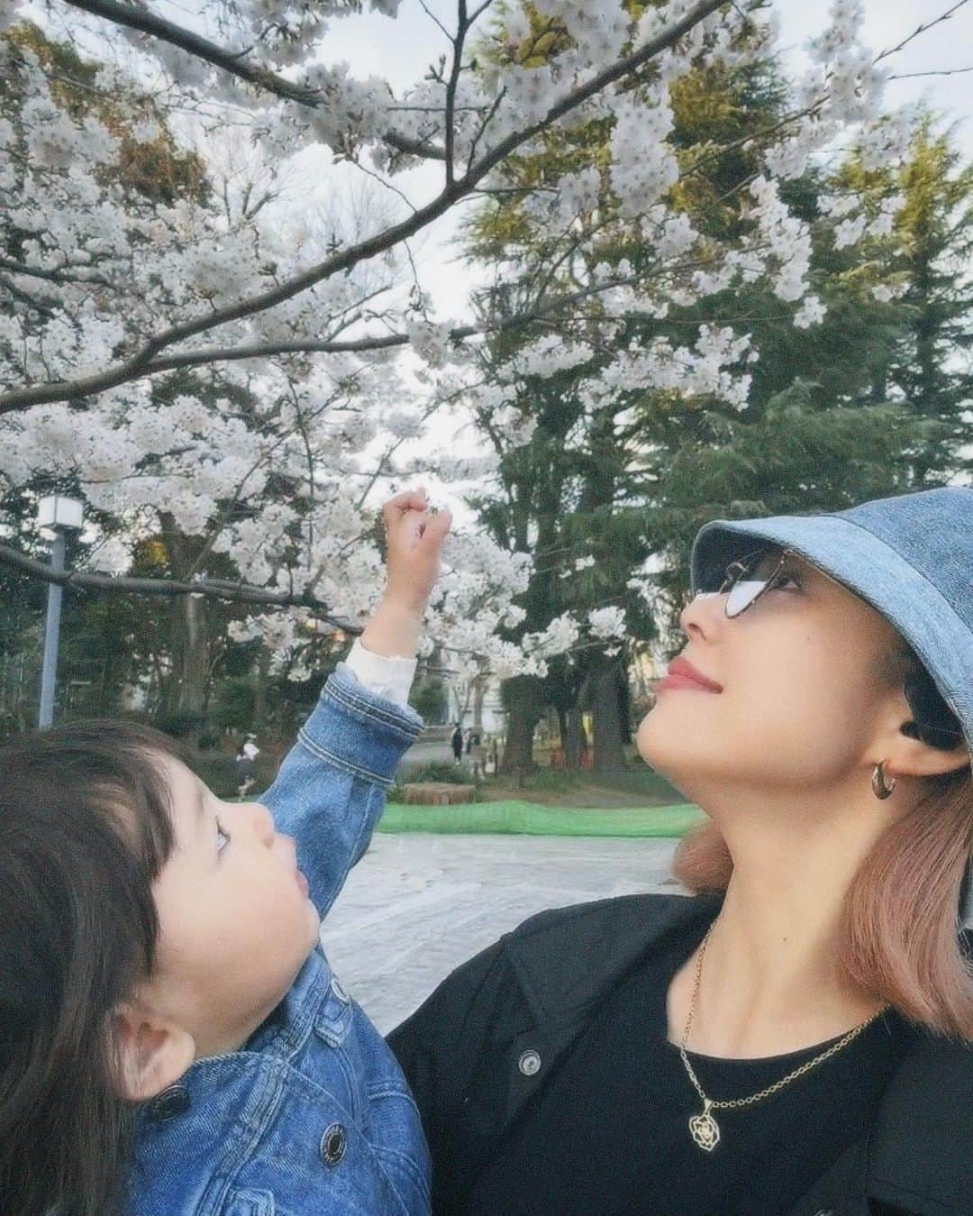 出浦寛子（HIROKO）さんのインスタグラム写真 - (出浦寛子（HIROKO）Instagram)「#お花見散歩」4月15日 15時11分 - detsuko