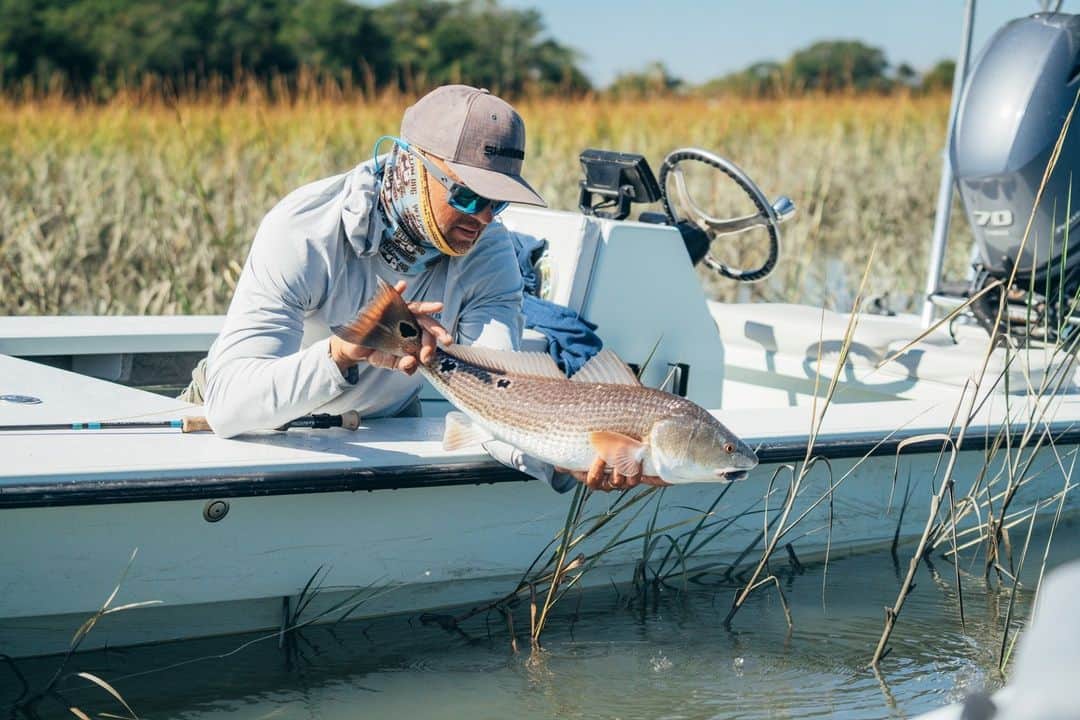 Costa Sunglassesさんのインスタグラム写真 - (Costa SunglassesInstagram)「Tailing tide in the Lowcountry: where skiffs run on land and anglers walk on water.  #SeeWhatsOutThere #Redfish #COSTAFILMS」4月15日 6時30分 - costasunglasses