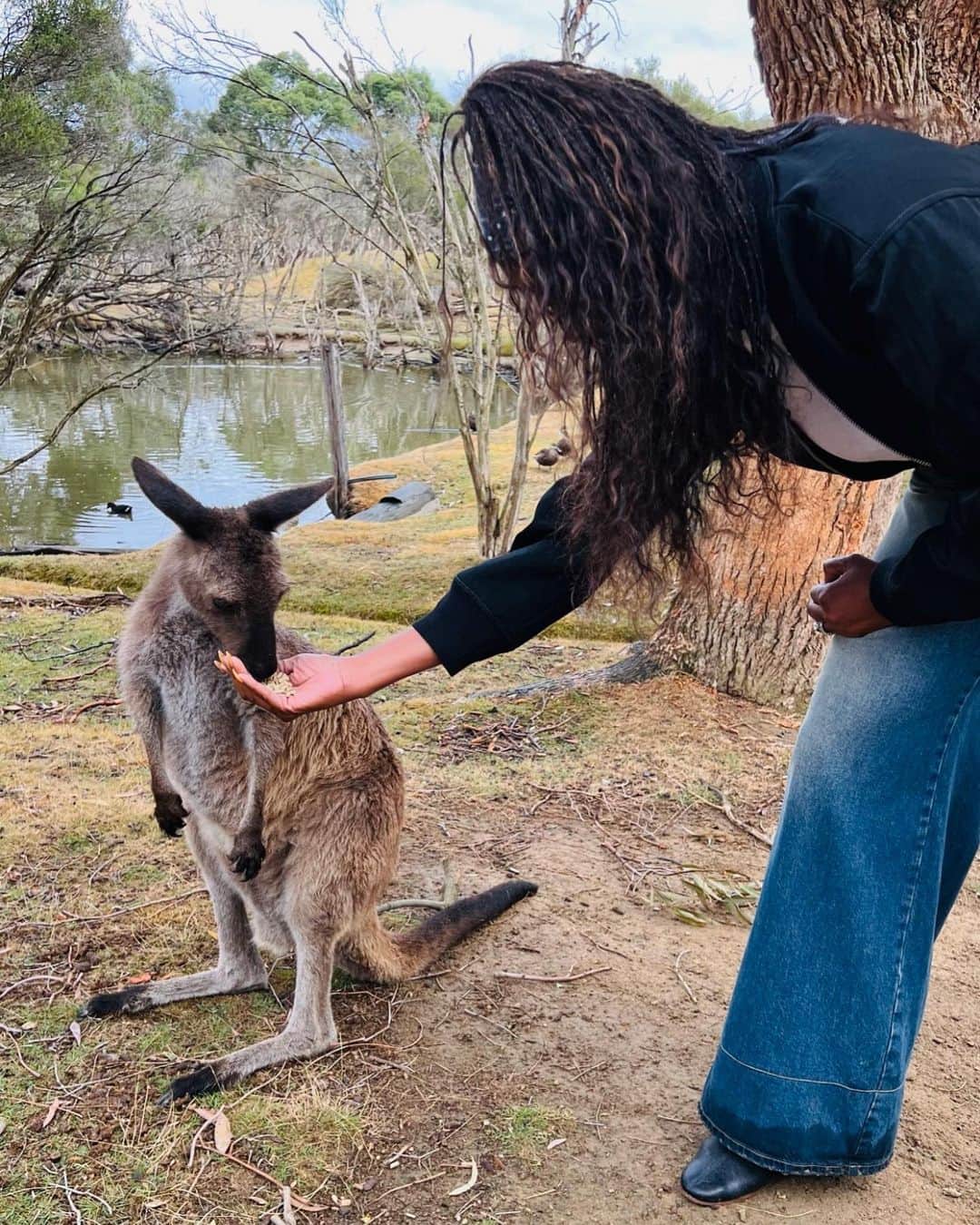 ミシェル・オバマのインスタグラム