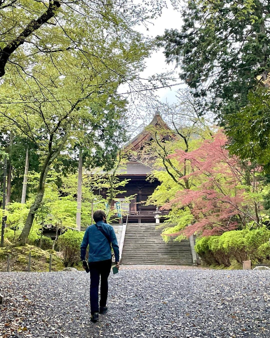 箕輪玖美さんのインスタグラム写真 - (箕輪玖美Instagram)「滋賀の三井寺詣り✨ どこを歩いても絵になる風情のあるお寺😊 ・ ・ 近江神宮をお参りした後、急な雨に降られて飛び込んだお店でランチ♪ ・ ・ ご主人のお母様から使用しているレジスター‼️ なんとも風情があり音も良い✨ ・ ・ ホッコリ癒された午後のひと時😊  #三井寺 #近江神宮 #寺社仏閣巡り #寺社仏閣好きな人と繋がりたい #滋賀旅行 #国内旅行 #タビジョ #旅行好きな人と繋がりたい #アラフィフ女子 #箕輪玖美」4月15日 9時09分 - kumi.111