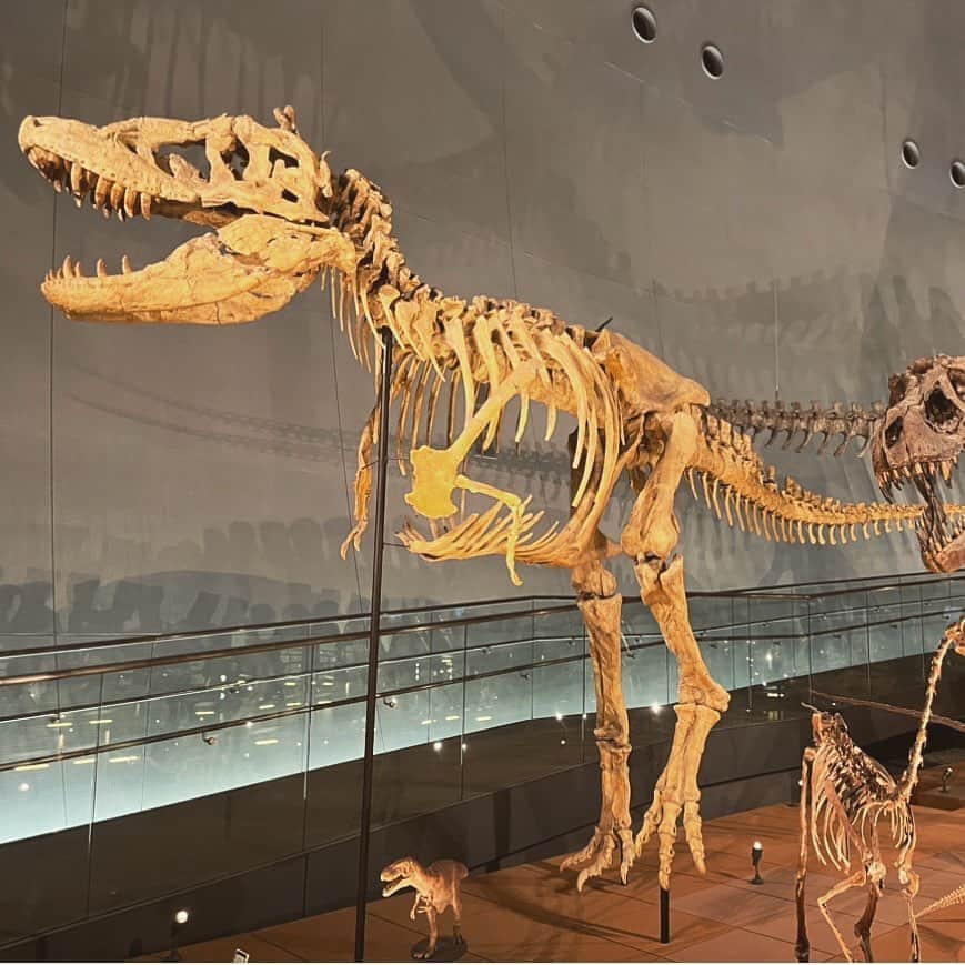八木麻紗子さんのインスタグラム写真 - (八木麻紗子Instagram)「. 都内の博物館へ。 恐竜大好き歴4年の息子は めずらしい化石や複製をじっくり楽しんでいました🦖🦕  時間とともに興味のあるものは変わっていくだろうけど、 「自分はこれが好き」という気持ちを いつまでも大切にしてほしい。 ……と、私が話しかけても聞こえないほど 恐竜の骨格に夢中になっている息子を見て思う😗  #恐竜 #小学2年生 #興味深い世界🦖 3、4枚目は #福井 にて」4月15日 9時12分 - yagi_masako