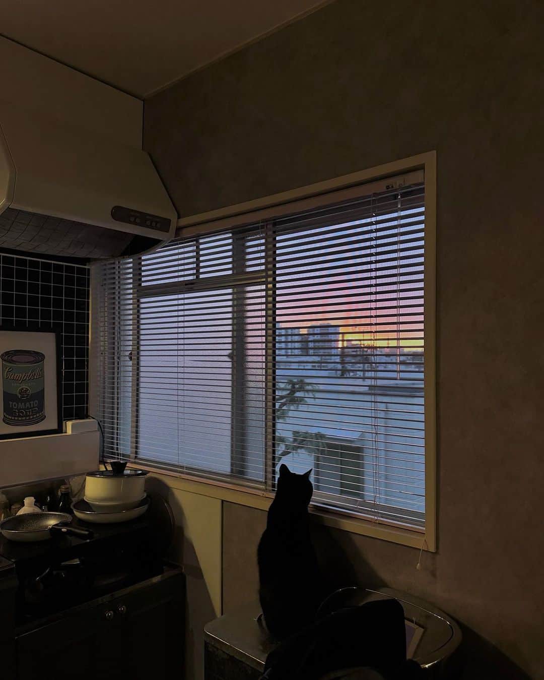 相羽瑠奈のインスタグラム：「雨だねぇ☔︎ 写真は朝焼けが綺麗だった日の🐈‍⬛🌅」