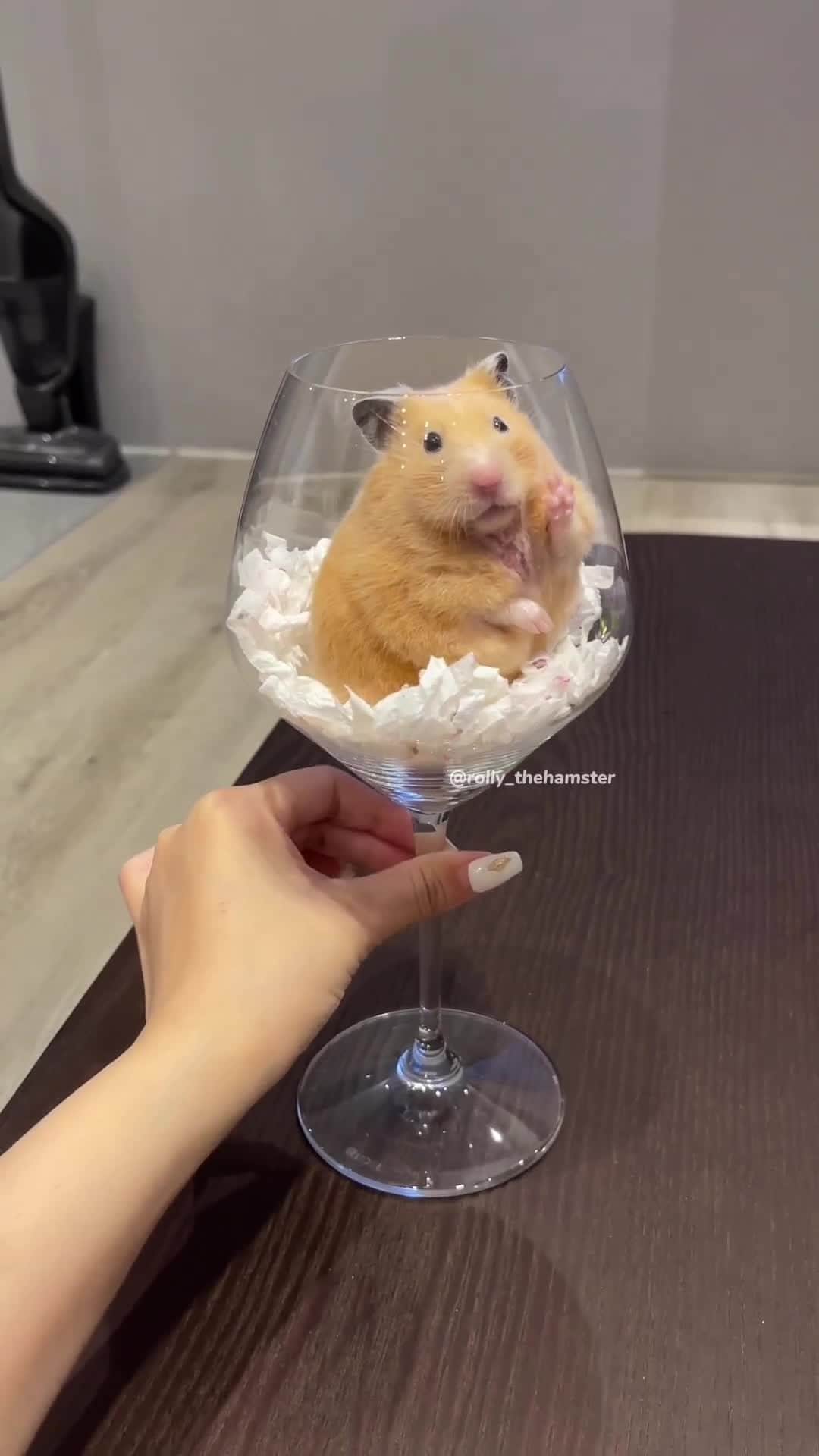9GAGのインスタグラム