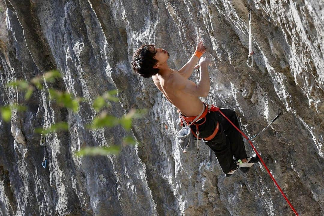 安間佐千さんのインスタグラム写真 - (安間佐千Instagram)「Beautiful day at Futago⛰ I really enjoy repeating routes which I have climbed already. Letting go myself in the movement without thinking goals is one of my favorite way of climbing🥰On the end of the day, I tried classic route Furikaeruna and there are bats 🦇in the small 3finger pocket🤯Sometimes it is important to stop the flow and respect them🙏  先日の二子山⛰ すでに登ったルートをもう一回登ることが僕はとても好き。完登へ意識を向けず、動きの流れを感じながら、呼吸、緊張、それらに気づきを向けリラックスしていって、自分を岩に溶け込ませる。すっごく気持ちいいし、幸せになる。日の終わりに、弓状のクラシック、”ふりかえるな”を登ったら、上部の3本指ポケットの中にコウモリ🦇がいた🤯時には流れを止める選択もあり、と学びました。  妻も悪魔のエチュードの下部をトップロープで遊びました。  Photos by @maechan82kgclimber   @adidasterrex  @fiveten_official  @petzl_official  @carbongrip  @newhale_japan  #アルテリア  @miu.miu_1225  #二子山  #リラックス  #呼吸  #コウモリ  #噛まれそうで怖かった」4月15日 10時35分 - sachiamma