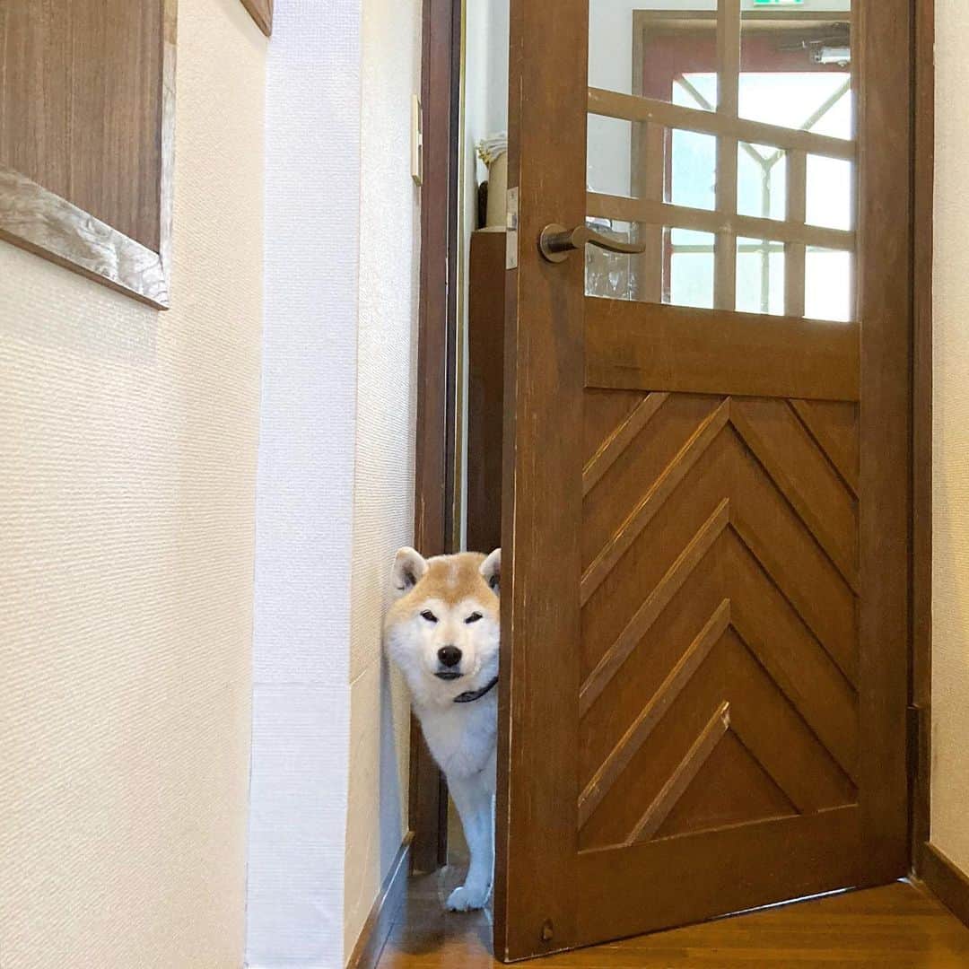 てんパパのグルメインスタ