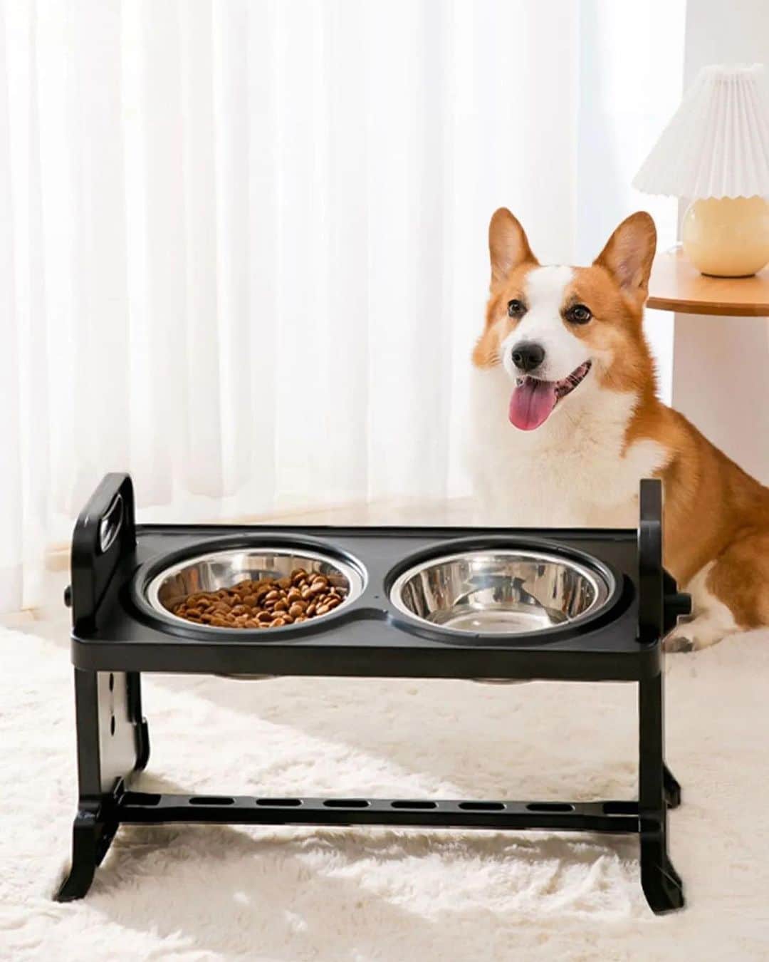 のインスタグラム：「We make prepping meals for your pups an artform 🐶🥣  🔎12380327 11997570 13141931  #SHEIN #SHEINforAll #SHEINstyle #fashion #chic」
