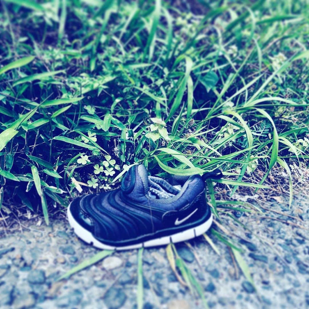 中野敬久さんのインスタグラム写真 - (中野敬久Instagram)「#lost #abondoned #sock #shoe」4月15日 10時30分 - hirohisanakano