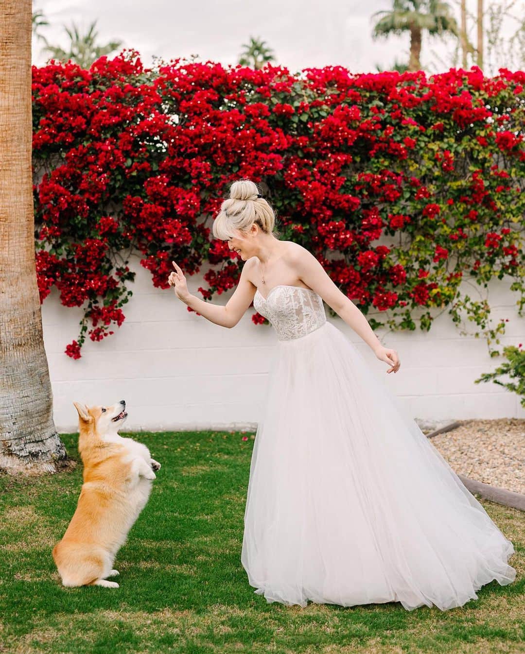Geordi La Corgiさんのインスタグラム写真 - (Geordi La CorgiInstagram)「We just got the rest of our elopement photos and wanted to share some with you all! @marycostaphoto is incredibly talented and we are so thankful she was able to capture our special day. 💛  She was able to make two VERY camera-shy people feel more comfortable, and she just went above and beyond to get some amazing shots for us.   My hair and makeup was done by Tina at @luonglastingteam – you may not be able to tell by the photos (thanks to Mary’s superb editing skills), but it was freezing, raining, and WINDY AF. But Tina worked her magic and my hair & makeup stayed put ALL day long. 🤯  Thank you again to @shindigchic who surprised us with the stunning bouquet and boutonnière. 💐  And thank you to my girls Chelsea, Erika and Candace who basically worked all day long wrangling the corgis, helping me stay warm, getting us food, and providing support! Our elopement photoshoot would not have happened without you and i am so grateful. 🙏」4月15日 10時33分 - lacorgi