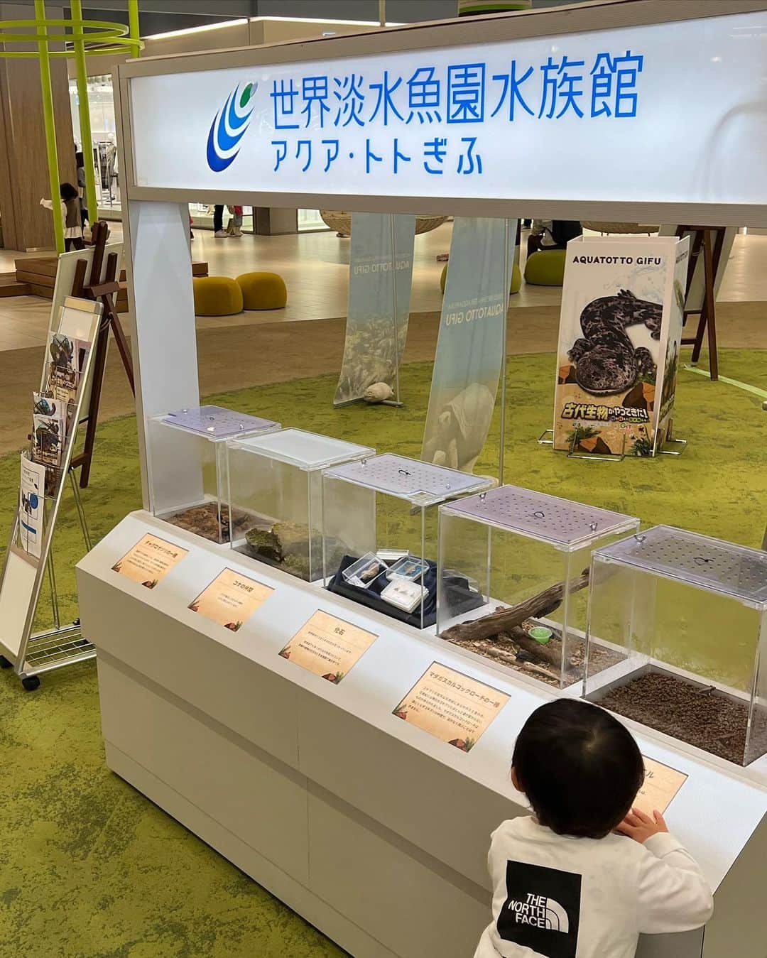 世界淡水魚園水族館 アクア・トト ぎふのインスタグラム