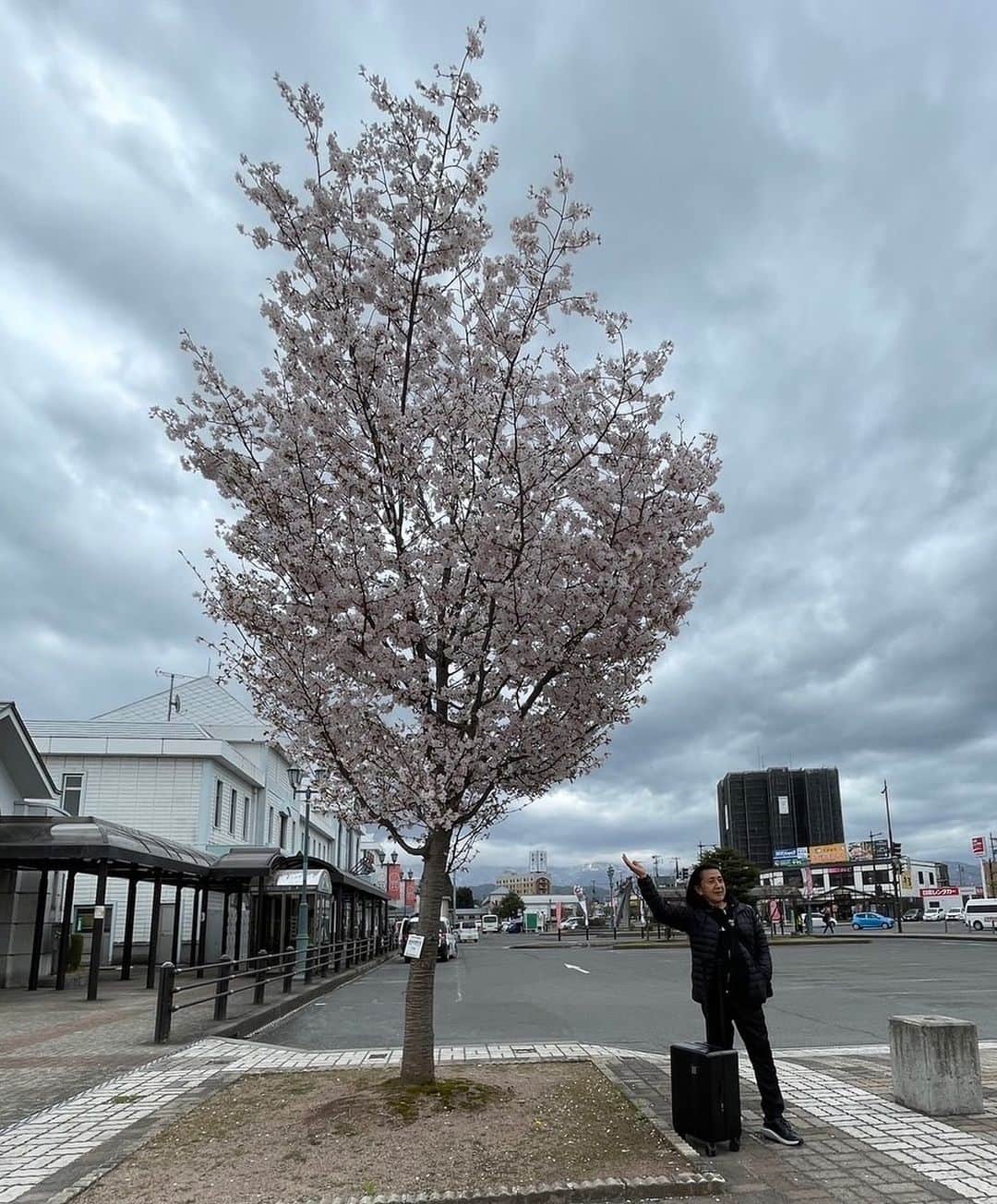 Ken Harakumaさんのインスタグラム写真 - (Ken HarakumaInstagram)「米沢到着❣️ 桜🌸🌸🌸満開。 @international_yoga_center」4月15日 11時23分 - kenharakuma