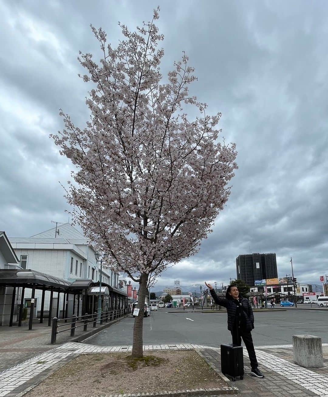Ken Harakumaのインスタグラム：「米沢到着❣️ 桜🌸🌸🌸満開。 @international_yoga_center」
