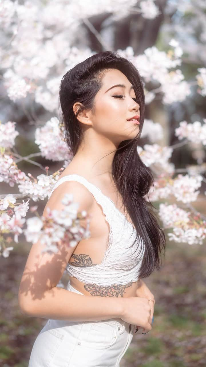 Joshのインスタグラム：「// an early morning at saigoyama park to get our 4th year of cherry blossom photos! Thank you @stefatty_ for making time before work! Didn’t have too much time to get the shots, but I think we got a few good ones. Definitely like the more environmental photos than I expected! Already looking forward to another spring of cherry blossoms photos. . . . . #japan #japaneseculture #portraitgasm #portraitmood #portraitsociety #makeportraits #sonyportraits #under10kportraits #portraitmovement #ポトレ #ポトレのセカイ #ポトレモデル #美女 #visitjapan #visitjapanjp #visitjapanau #explorejapan #exploretokyo #discoverjapan #discovertokyo #matcha_jp」