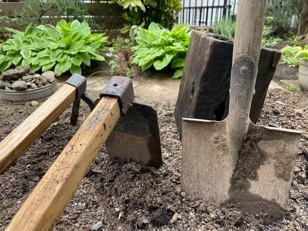 小笠原正典さんのインスタグラム写真 - (小笠原正典Instagram)「庭、改造中。🌱🌿🌷 堆肥と腐葉土を漉き込んで3週間。  植え込む子たちも到着。 今日はこのあとお仕事なので 作業はあす！🤗  #ガーデニング #庭のある暮らし」4月15日 11時54分 - masanori.ogasahara