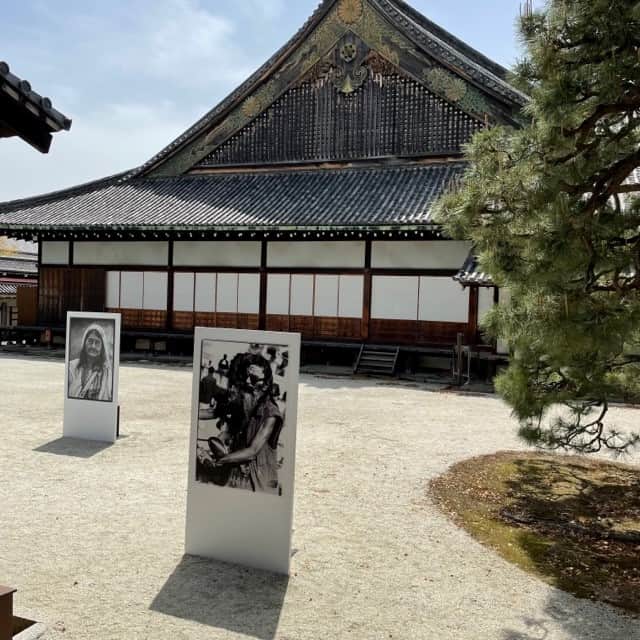 MAQUIA ONLINEさんのインスタグラム写真 - (MAQUIA ONLINEInstagram)「美しい春に京都で行われる国際写真祭「KYOTOGRAPHIE」が、今年も始まります。  国内外の貴重な写真コレクションを、京都ならではの歴史的建造物やモダンな近現代建築空間に展示演出する、注目の写真祭。今年は“BORDER”をテーマに、寺院や町屋などそれぞれの会場で、15のプログラムを実施します。  その中のひとつとして、ディオールの特別協力により開催されるのが、「クリスチャン・ディオール、夢のクチュリエ」展で歴代クリエイティブディレクターたちによるクリエイションを撮影したことでも話題の、写真家 高木由利子さんの個展「PARALLEL WORLD」。  世界遺産である二条城・二の丸御殿 台所・御清所がその舞台。入るとすぐ目の前に迫ってくるのは、フードをかぶった人物の2枚の写真。 そして黒光りする太い梁に歴史を感じる空間には、語り掛けてくるような力強い作品が並びます。  アジア、アフリカ、南米、中近東など世界をまわり、日常的に民族衣装を着て生活している人達を40年にわたって記録する一方、クリエイター達の創り出す新しいファッションを多数撮影してきた高木さん。境界線を越え、両方を行き来するうちに、人と服、人間と幸福について気づきがあったそう。  ディオールのために特別に撮り下ろした作品も含め、今回その２つのシリーズを同時に展示することで出現させた「PARALLEL WORLD」。そこには確かに、時間や空間、さまざまな価値観を飛び越えて感じ取れるものが。体感することで何かが変わる、そんな写真展です。  ■KYOTOGRAPHIE京都国際写真展2023 会期：2023年４月15日（土）～５月14日（日） チケットの入手方法など詳しくはHPへ　https://www.kyotographie.jp/  ●高木由利子「PARALLEL WORLD」 会場：京都・二条城 二の丸御殿 台所・御清所 時間：9:30～17:00（二条城への入場は16:00まで、17:00閉城） 休館日：無休 入場料：大人 800円　学生 600円 （別途二条城への入城料800円が必要）  #kyotographie #KYOTOGRAPHIE #dior #DIOR #クリスチャンディオール #ディオール #diorbeauty  #高木由利子 #京都 ＃ファッション ＃写真展 #マキア　#MAQUIA ＃マキアオンライン」4月15日 12時00分 - maquia.magazine