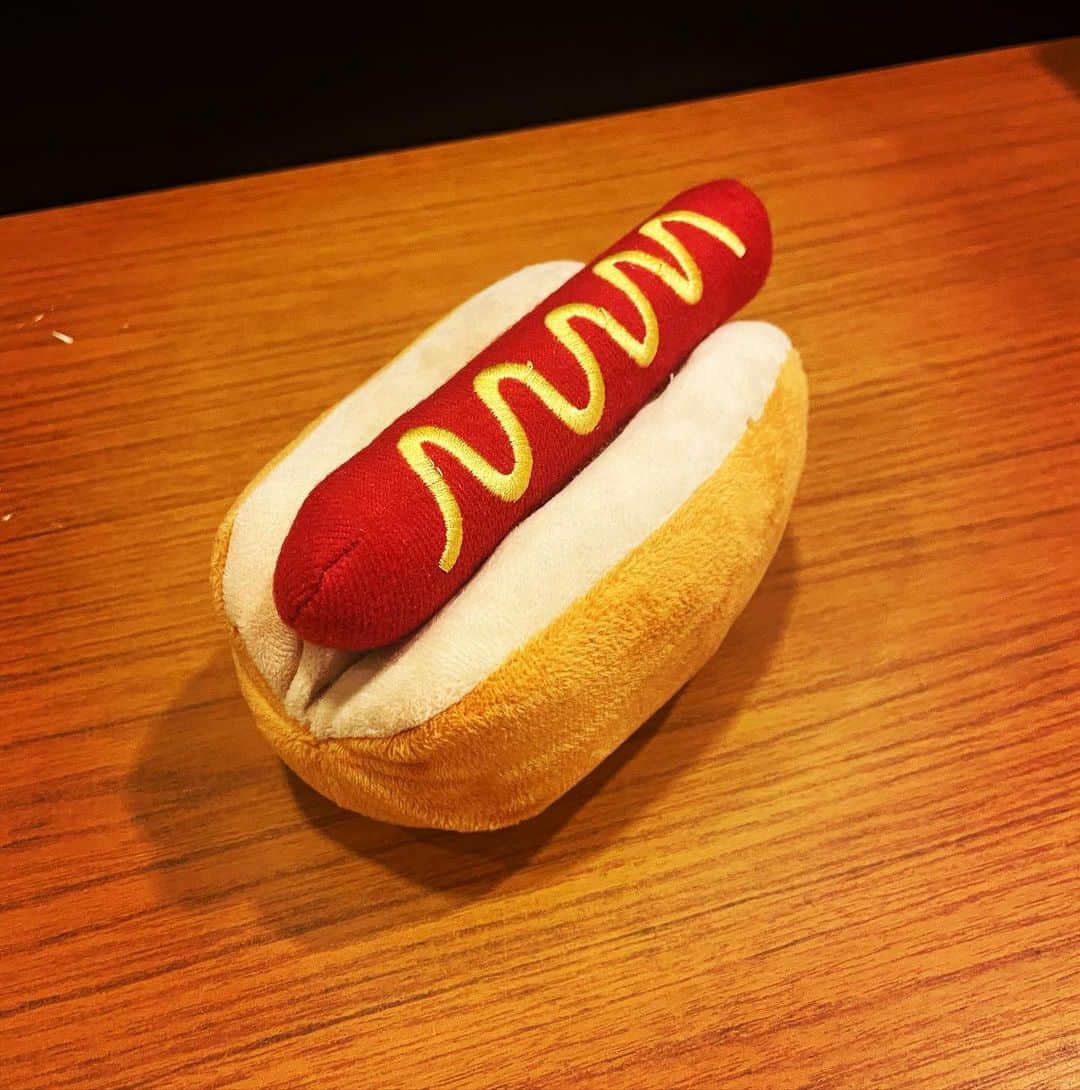 のインスタグラム：「THE BAWDIES×夜の本気ダンス  バチバチはやはり楽しい🙏🏻🙏🏻🙏🏻🙏🏻🙏🏻🔥🔥  #夜の本気ダンス #THEBAWDIES #hotdog #musical」