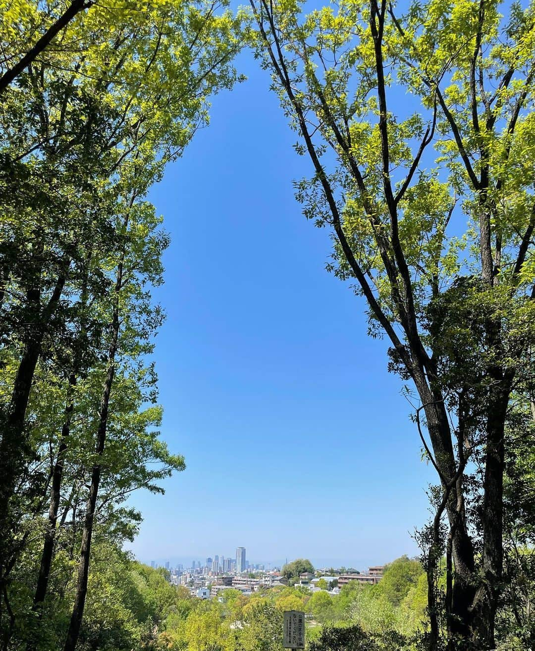 紺野ゆりさんのインスタグラム写真 - (紺野ゆりInstagram)「名古屋♡  東京出てきて18年、 考えてみたら帰省したら実家に帰るか、名古屋駅や友達の家で友達に会うことしかしてなくて、名古屋の街を歩いたのって住んでいた時ぶりってことに気づきました🫢 今回は中高過ごした街に行き、学校も通ったりしてすごく懐かしい気持ちに🥹🌿✨✨  大好きな東京の友達に自分の地元を見てもらえた気がして嬉しかったなぁ☺️☺️🫶  #名古屋 #名古屋グルメ #平和公園#新甫 #チーロバ#node_tasworks  #一宮#真清田神社」4月15日 13時12分 - yuri_konno_official