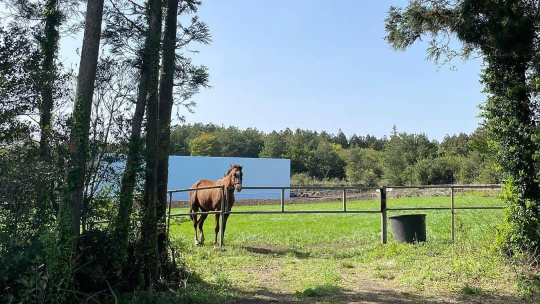 シン・ドヒョンさんのインスタグラム写真 - (シン・ドヒョンInstagram)「We act for nature and animals. 자연이 주는 무한한 행복감을 담은 브랜드 #그린블리스 신제품 촬영을 함께 했어요! 자연과 동물을 사랑하신다면 그린블리스 제주 공간은 꼭 방문해보세요💚🌱 @greenbliss7 @greenbliss_jeju」4月15日 13時16分 - shindohyunn