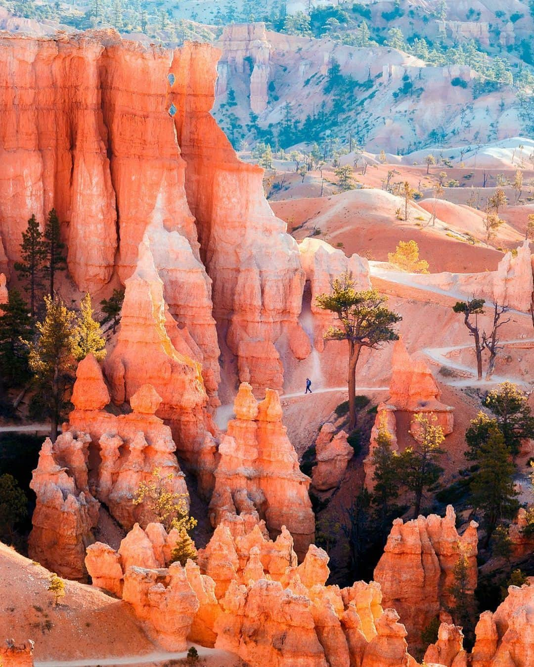 Visit The USAのインスタグラム：「If Mars is on your bucket list, then Bryce Canyon in Utah is THE place to check out.  Known for its towering red rocks called hoodoos, you'll be blown away by the striking beauty and epic landscapes in one of Utah's "Mighty 5" parks.  Did you save this post to your “USA Bucket List” folder? Don't wait any longer  📸: @josemostajo  #VisitTheUSA #BryceCanyon #Utah #HikingBucketList  #HikingAdventures #FamilyHike #NationalPark #GirlsWhoHike #Summer2023」