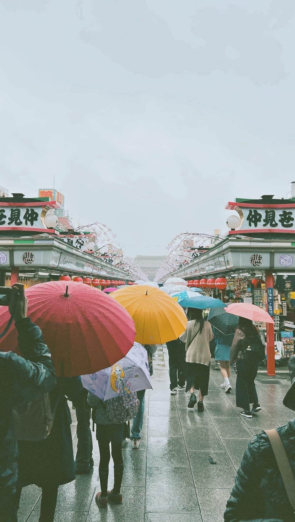 階上実穂のインスタグラム