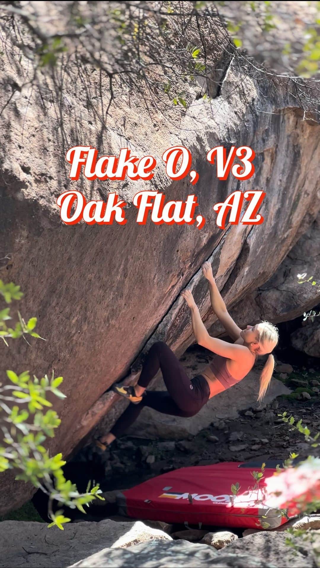 シエラ・ブレア・コイルのインスタグラム：「Flake O, V3 Oak Flat, AZ  A few weeks ago someone asked me if there were any easier boulders at Oak Flat, so I thought this would be a good one to share!  An absolute classic line in Atlantis #2. Boulder is roughly located behind the Evolution boulder. Highly recommend giving it a go if you’re in the area!  🎥: @queencreekbouldering  @moonclimbing │ @moonclimbingwomen │ @myclimbapp │ @oncruxofficial │ @perfecthydration」