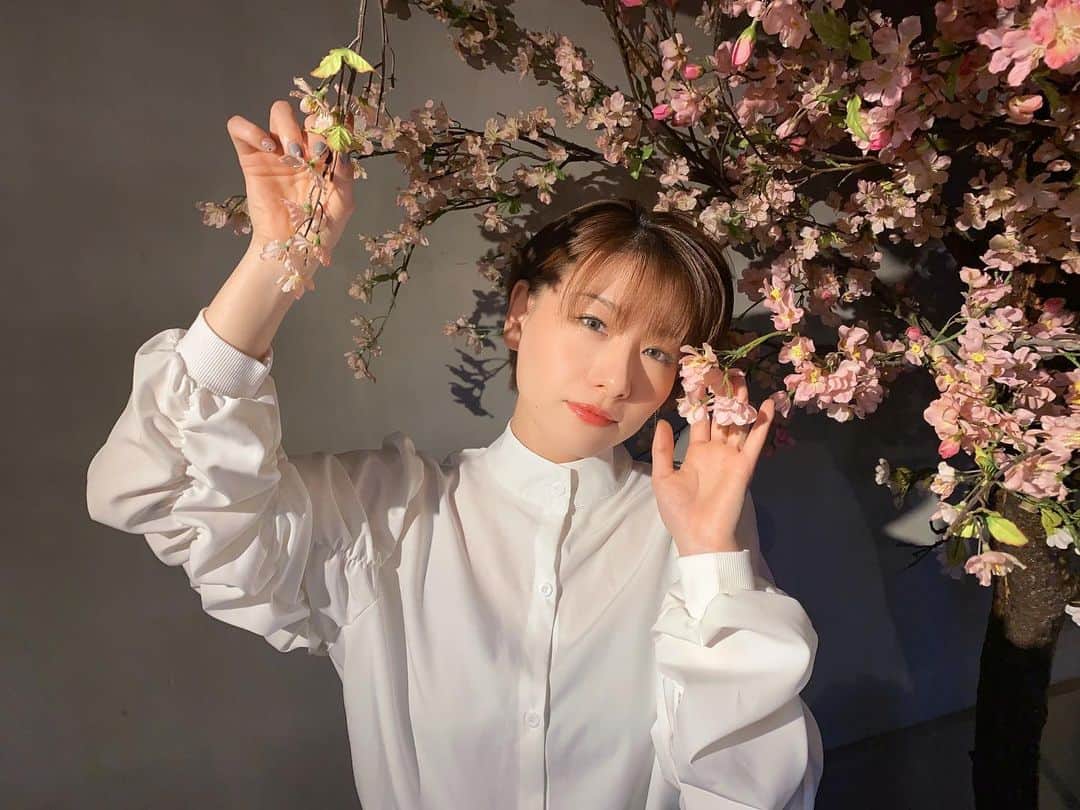 岩村菜々美さんのインスタグラム写真 - (岩村菜々美Instagram)「英明さん(@eimei1977 )がライブの為に生やした桜を使わせてもらってYouTubeの撮影をしました。 もう桜は散っちゃったけど、桜のうたを歌いました🌸」4月15日 15時50分 - nanami1120